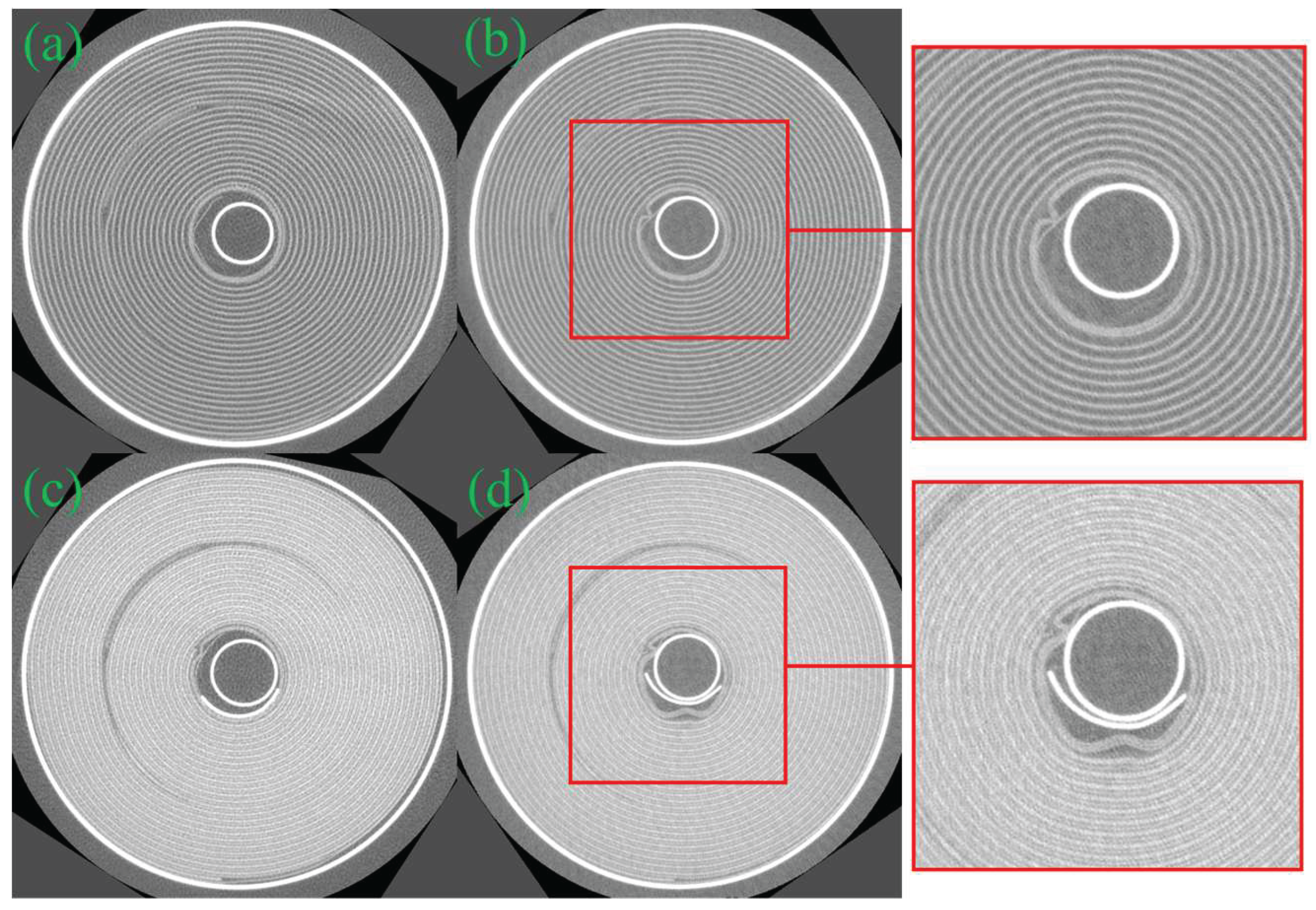 Preprints 216439 g010