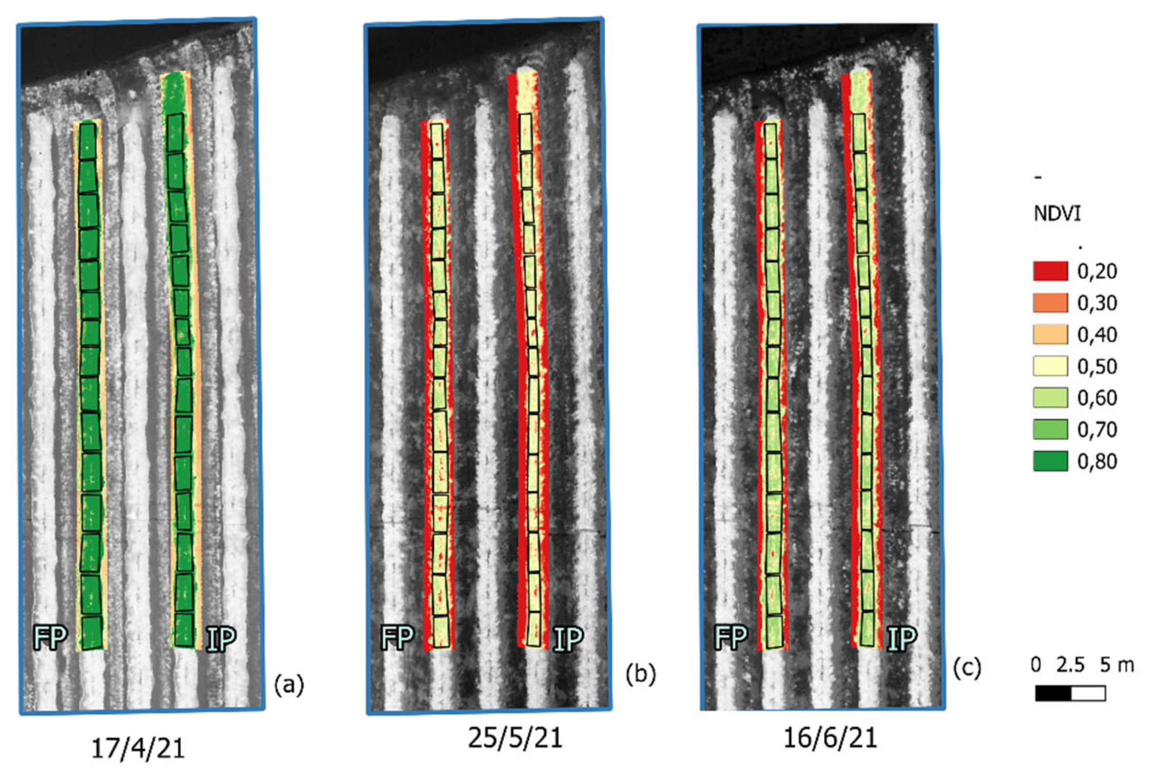 Preprints 223398 g007