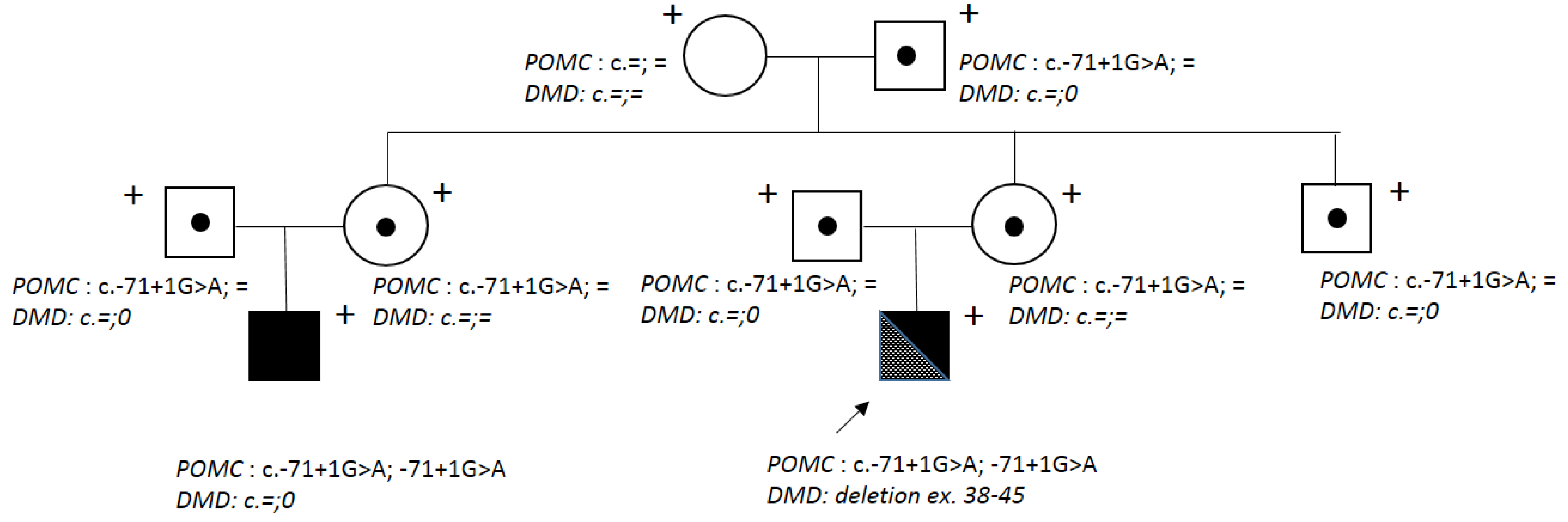 Preprints 79229 g001