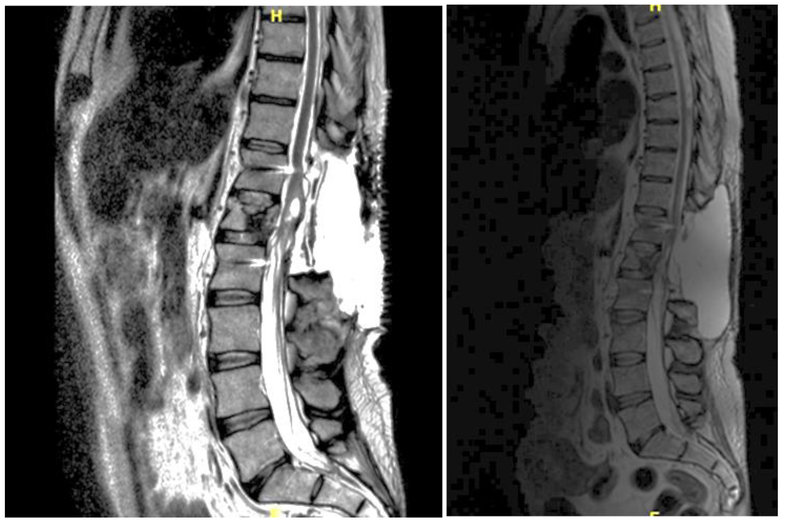 Preprints 155411 g001