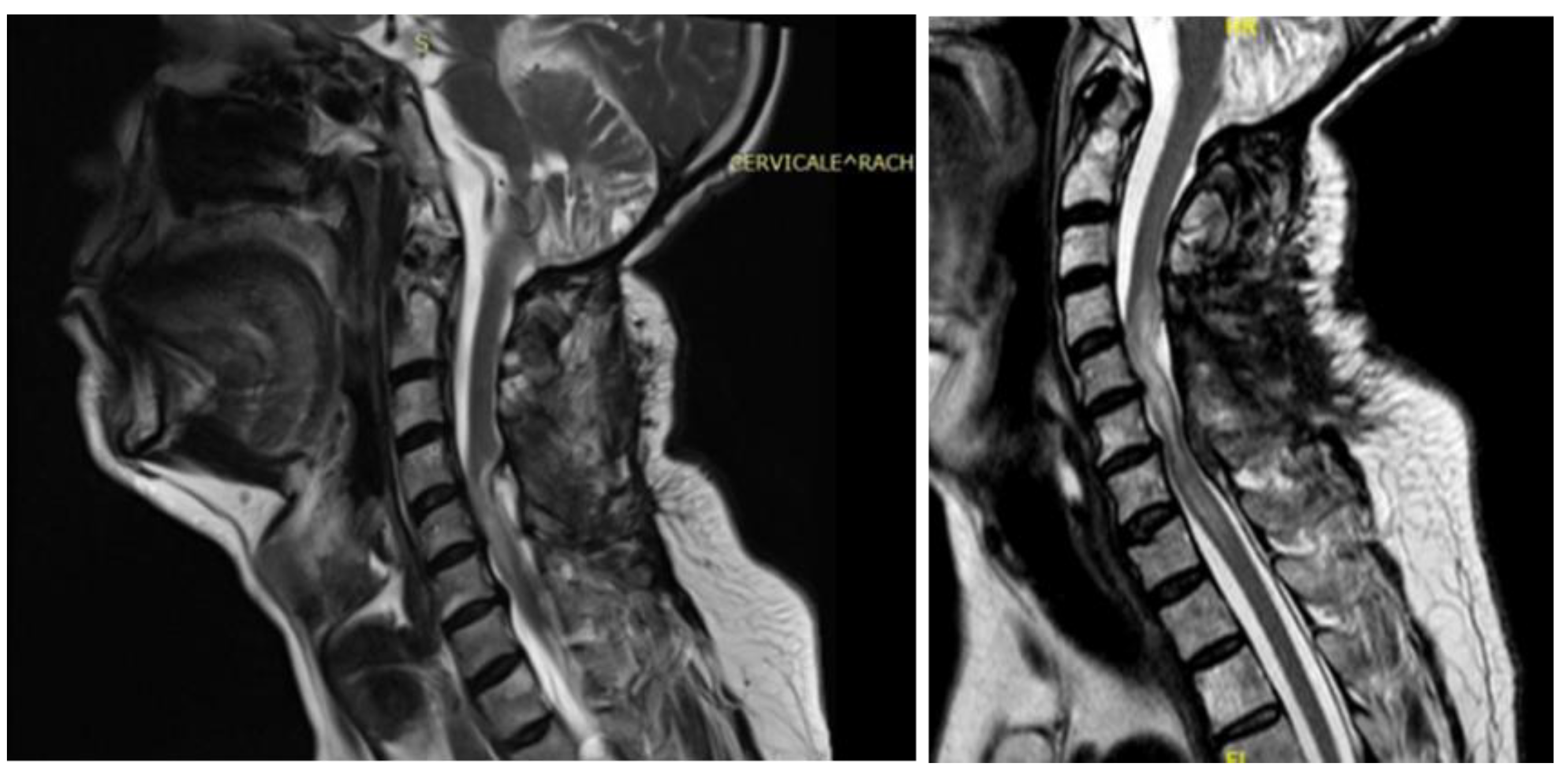 Preprints 155411 g002