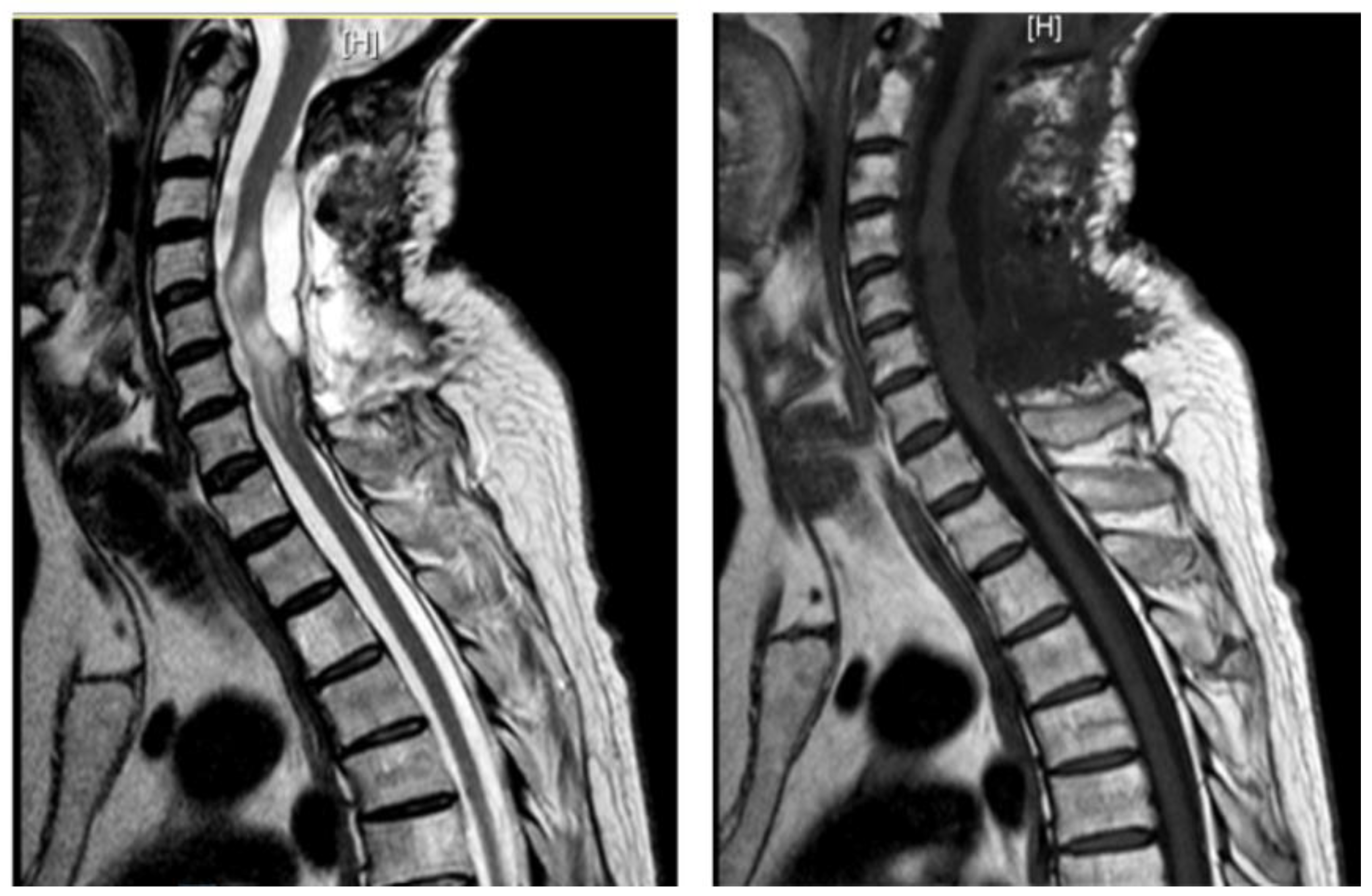 Preprints 155411 g003