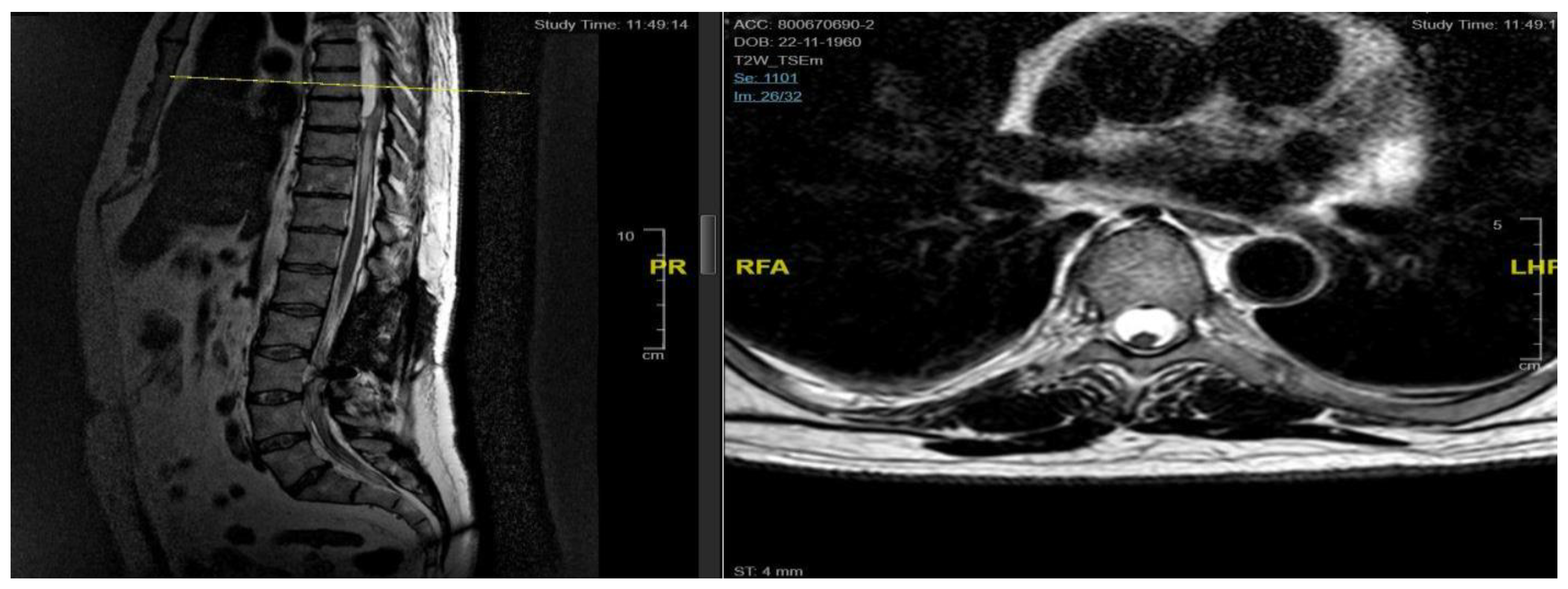 Preprints 155411 g004