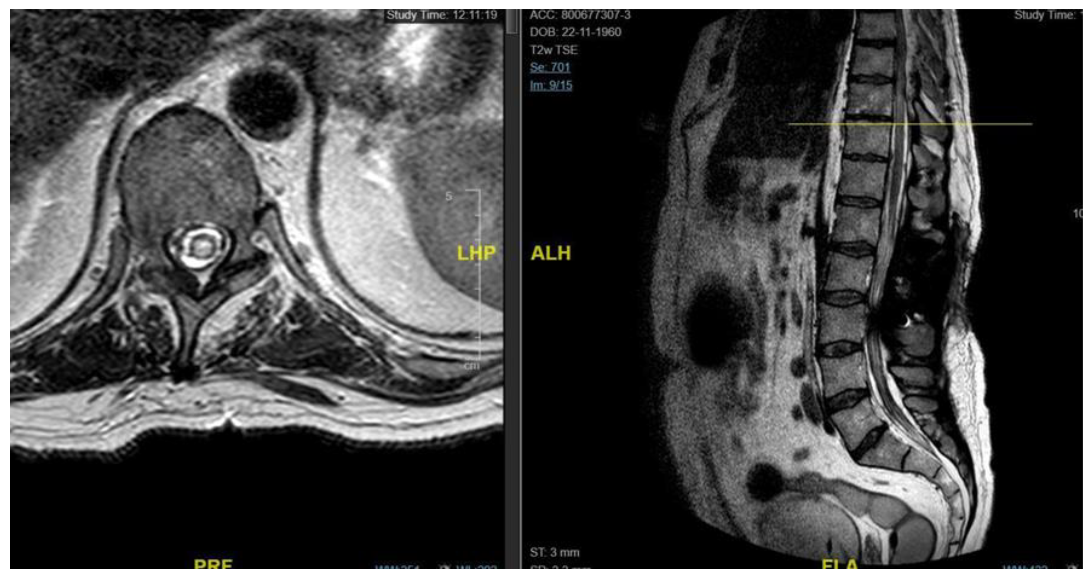 Preprints 155411 g005