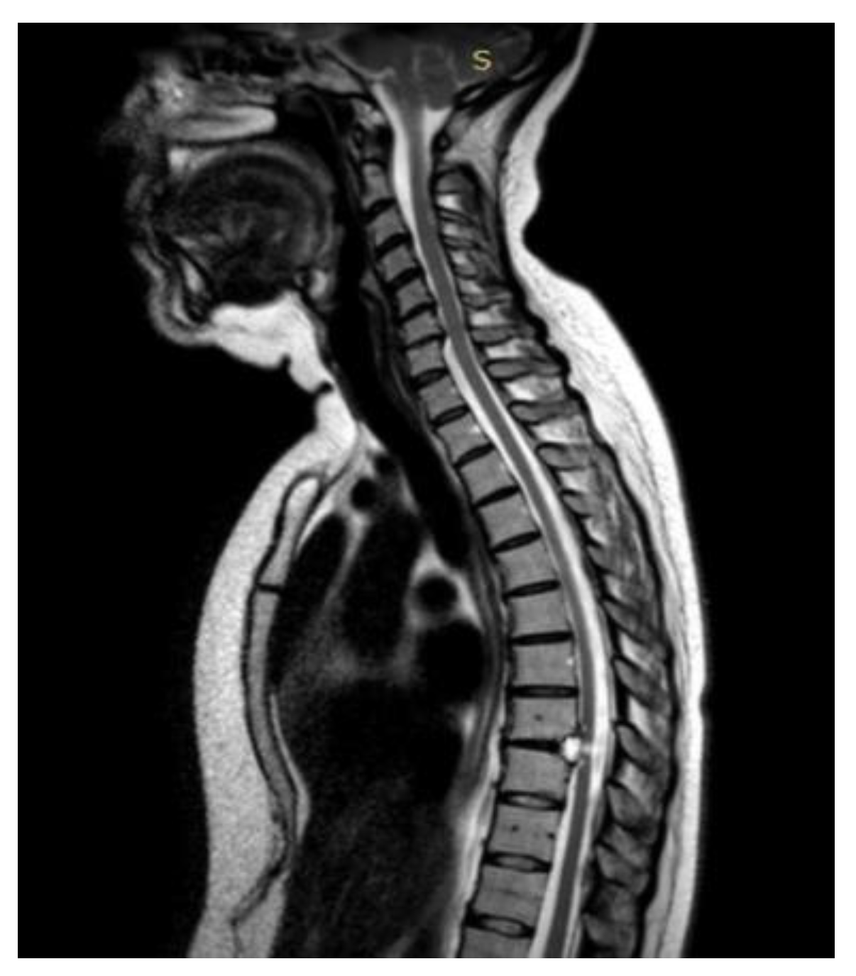 Preprints 155411 g006