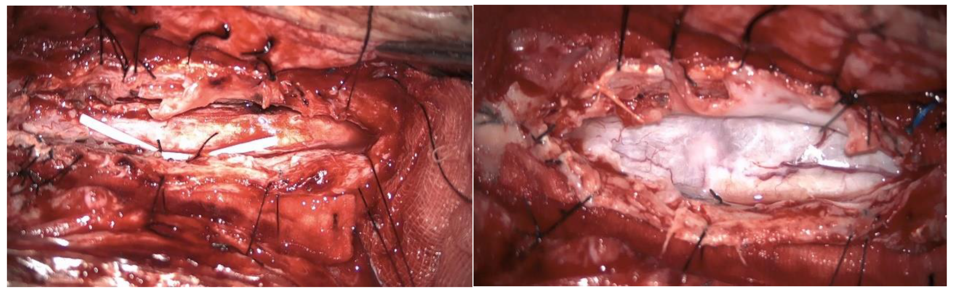 Preprints 155411 g007