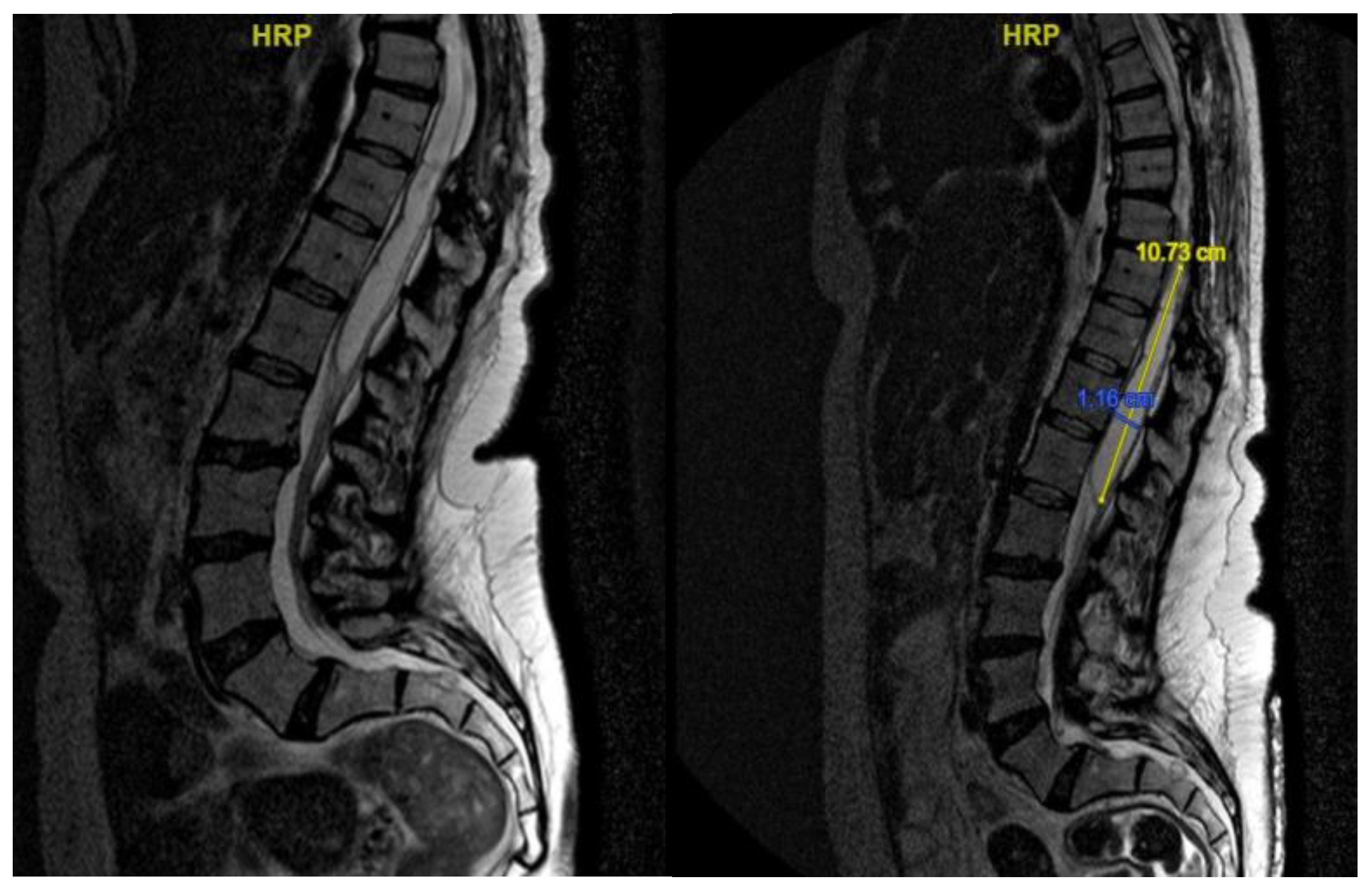 Preprints 155411 g008