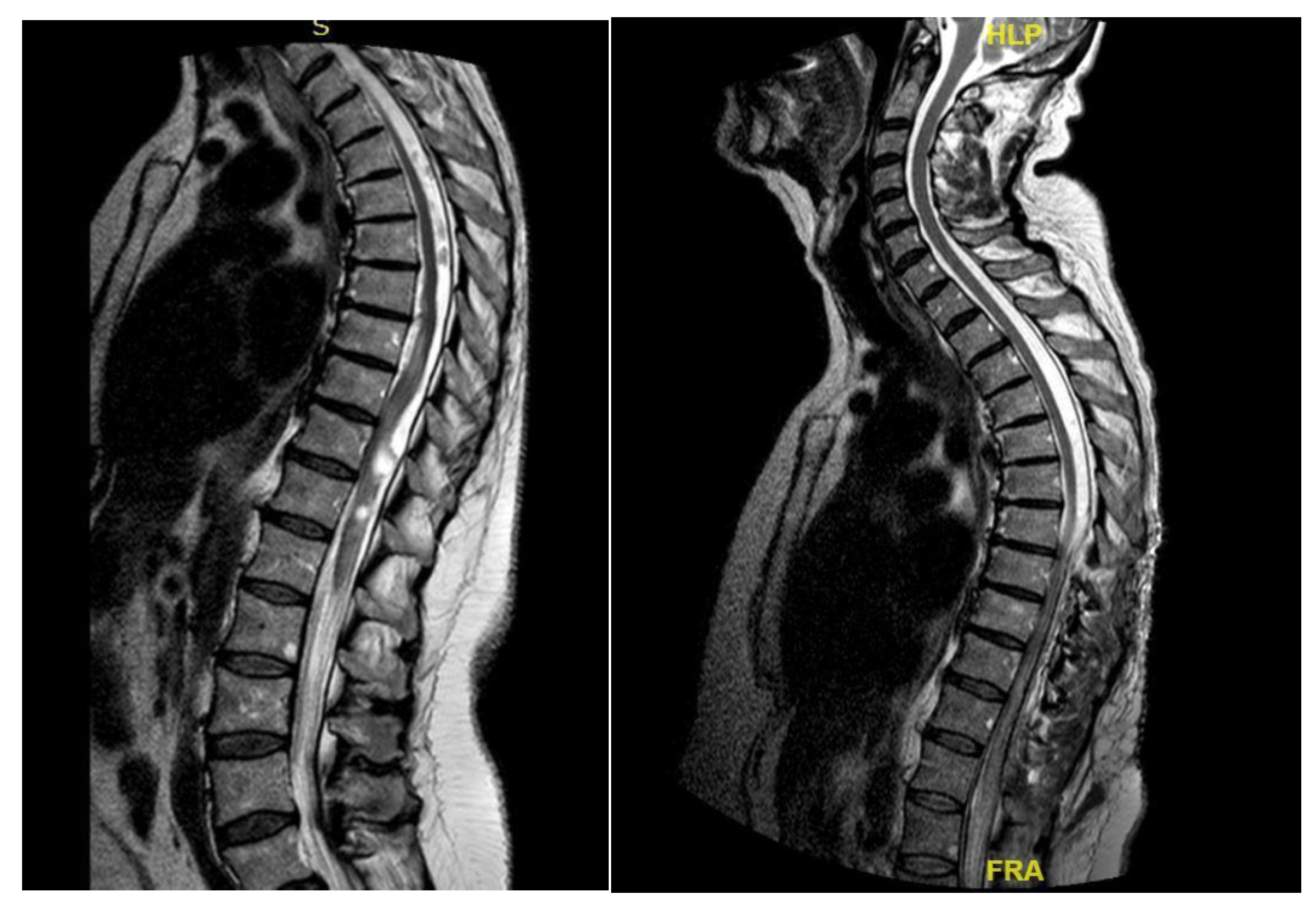 Preprints 155411 g009