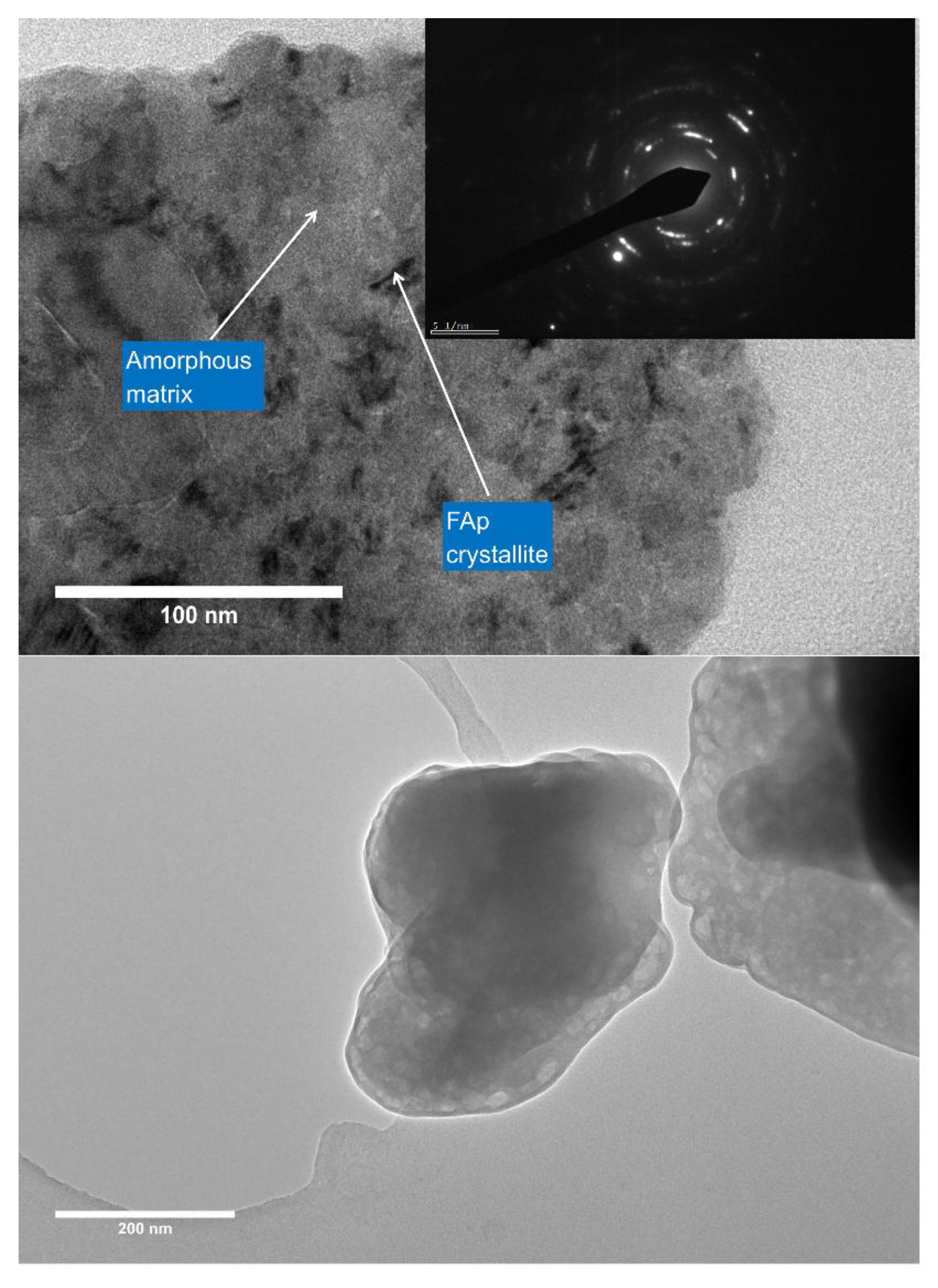 Preprints 201077 g008
