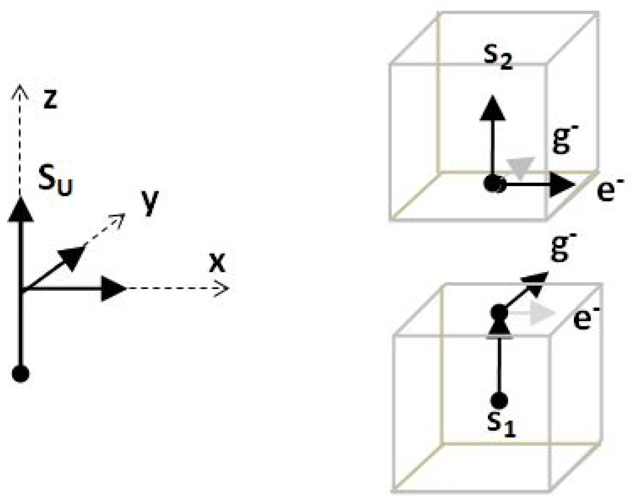 Preprints 141000 g002