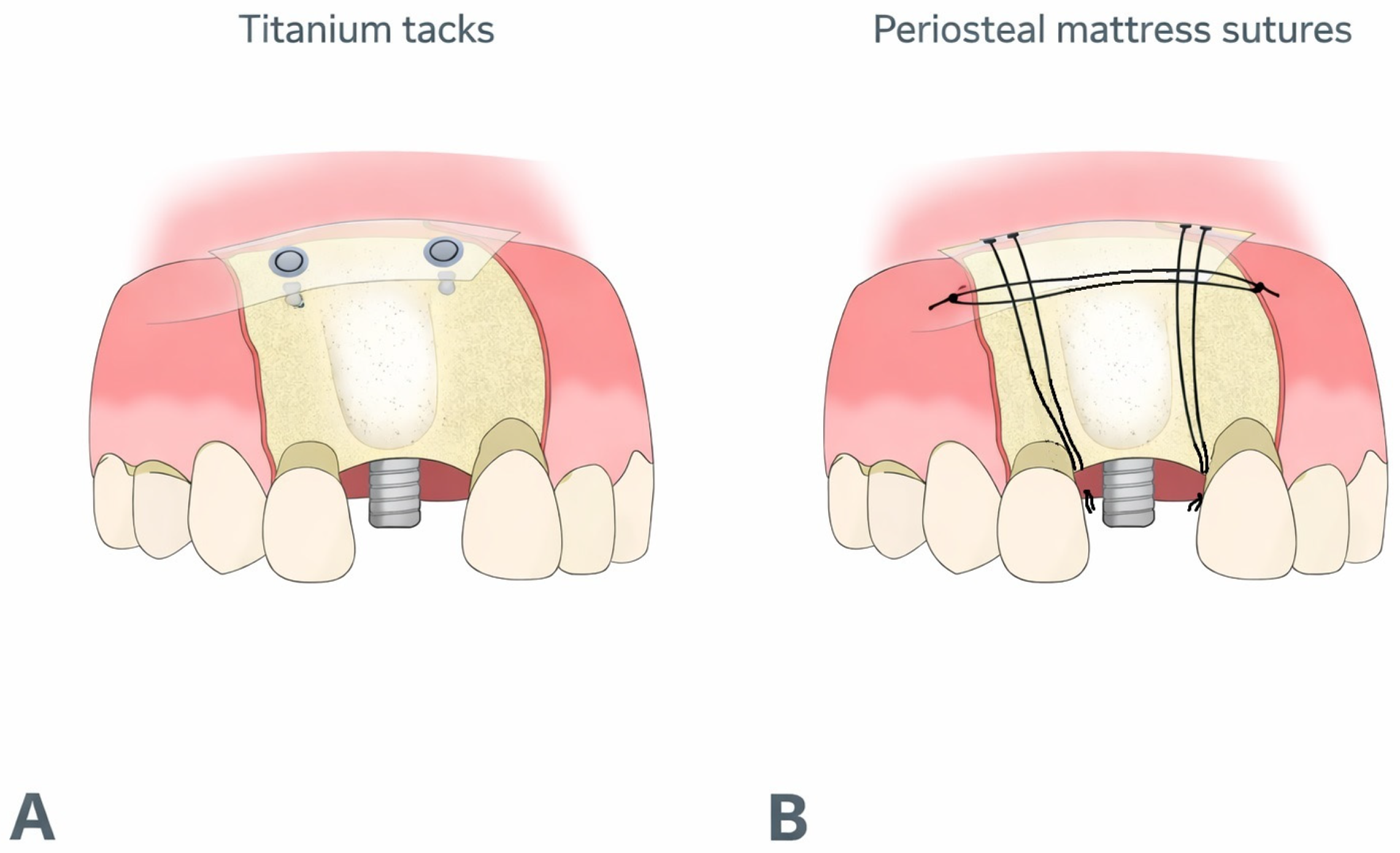 Preprints 191981 g002
