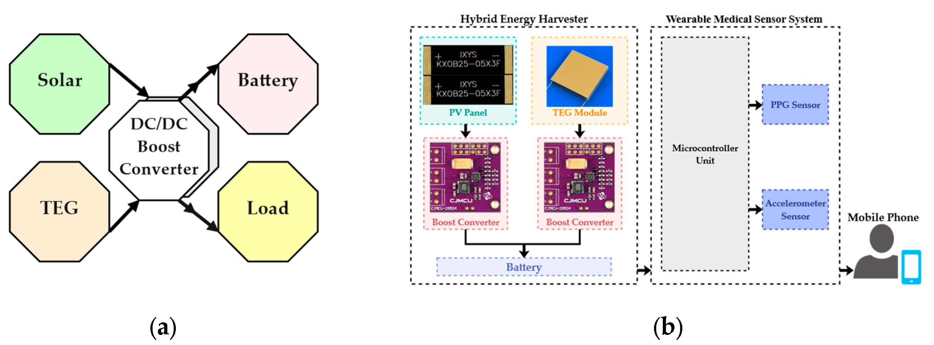 Preprints 102195 g002