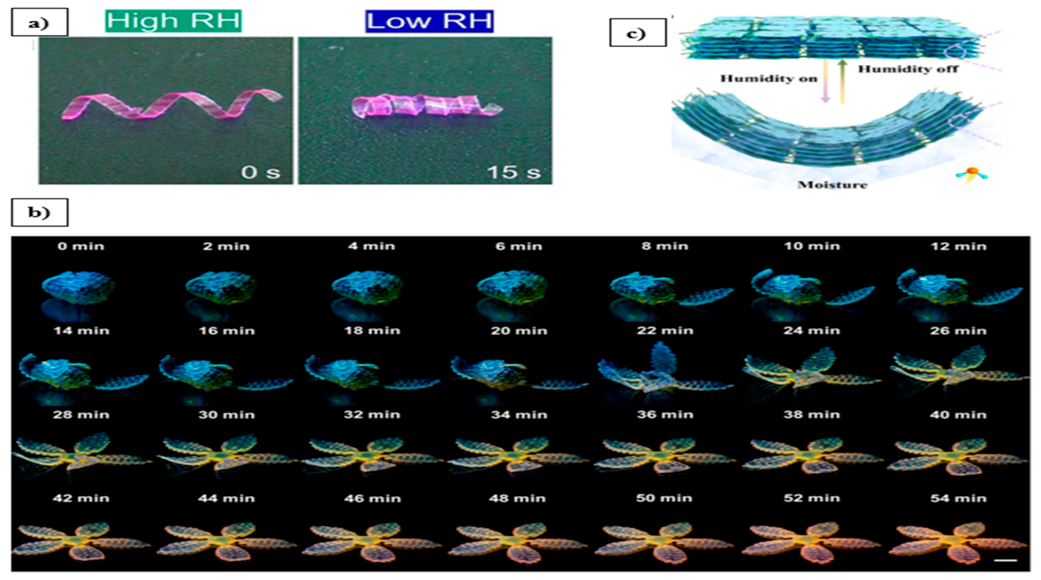 Preprints 190217 g006