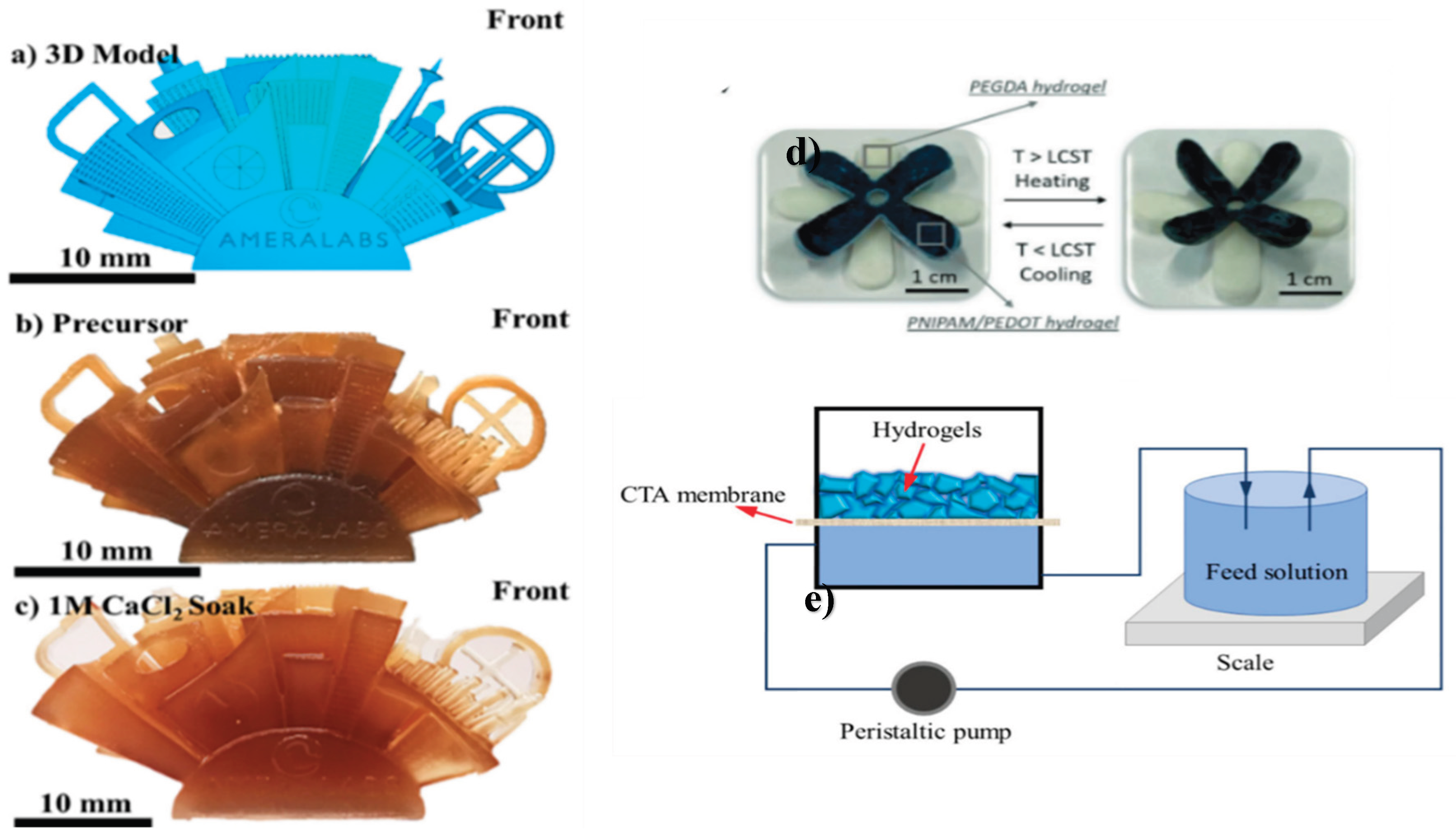 Preprints 190217 g007
