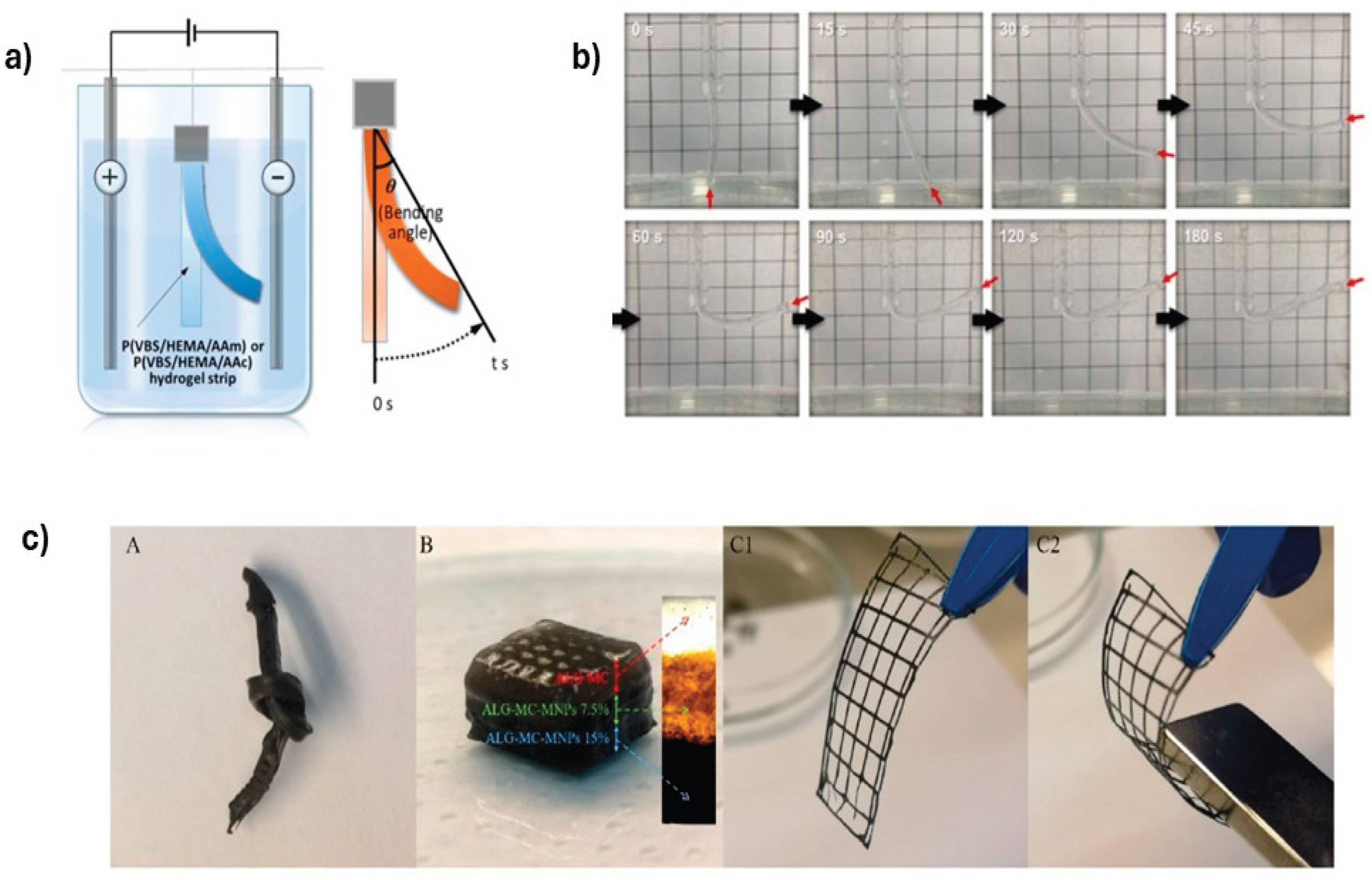 Preprints 190217 g011