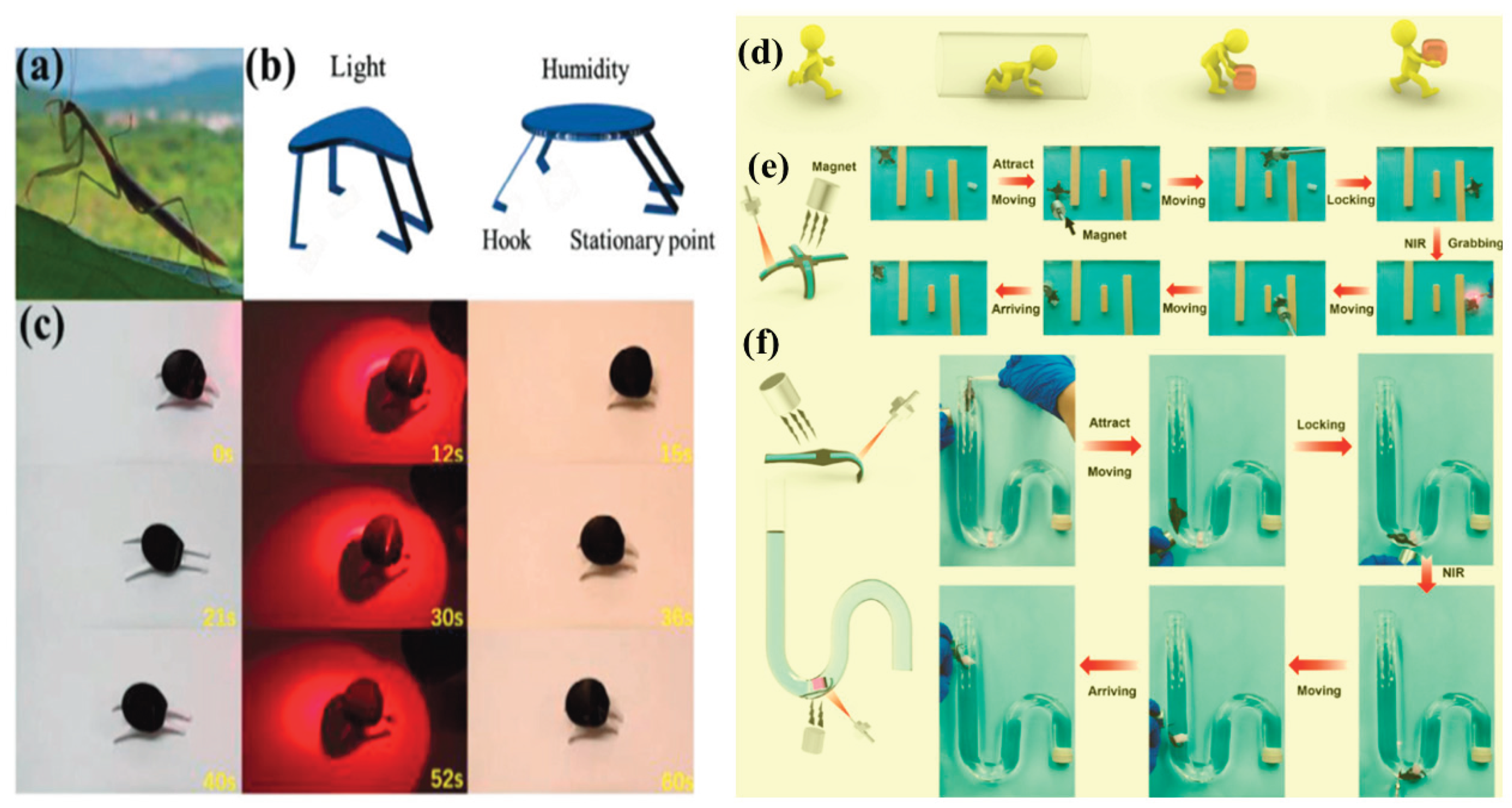 Preprints 190217 g018