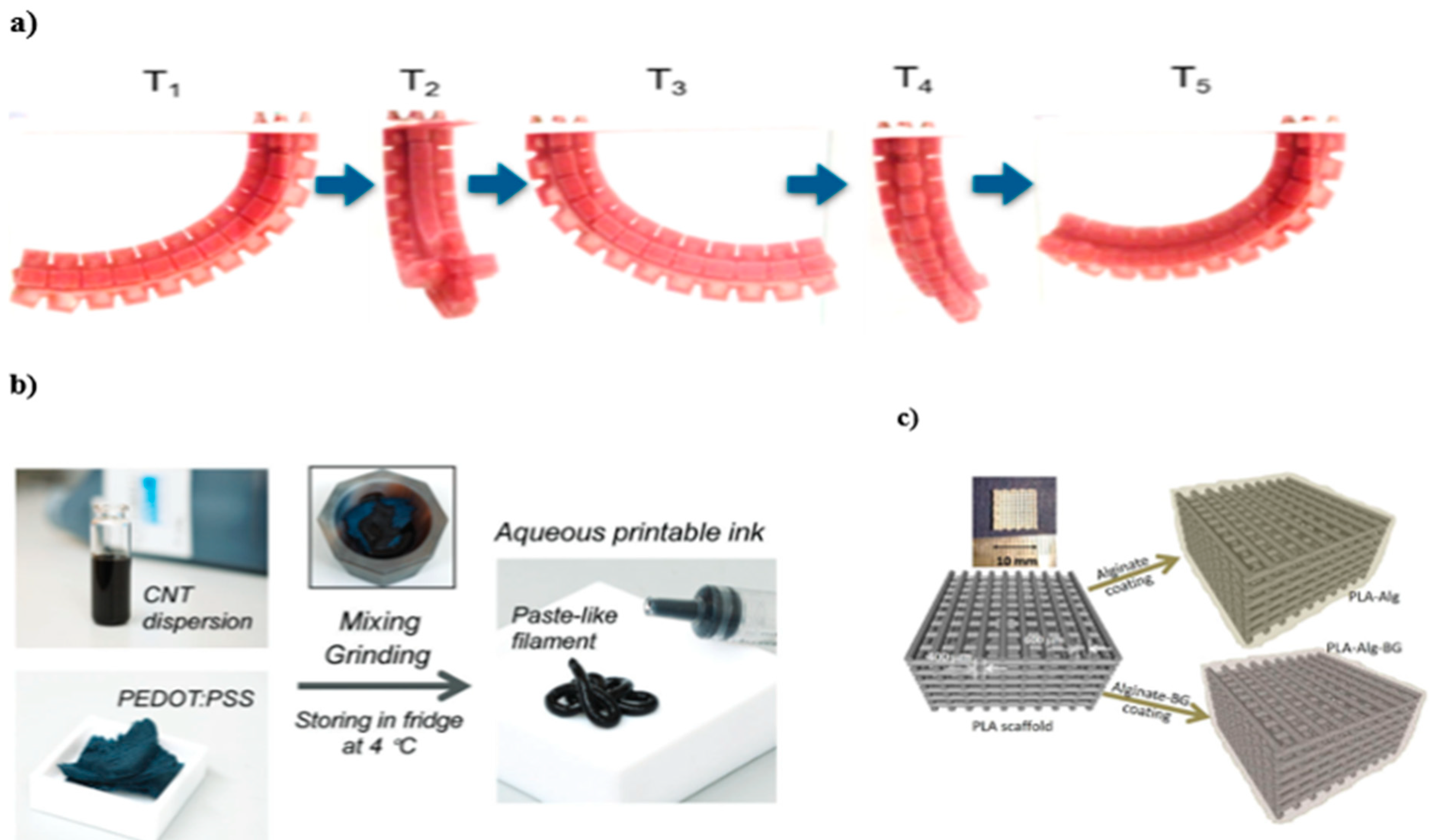 Preprints 190217 g021