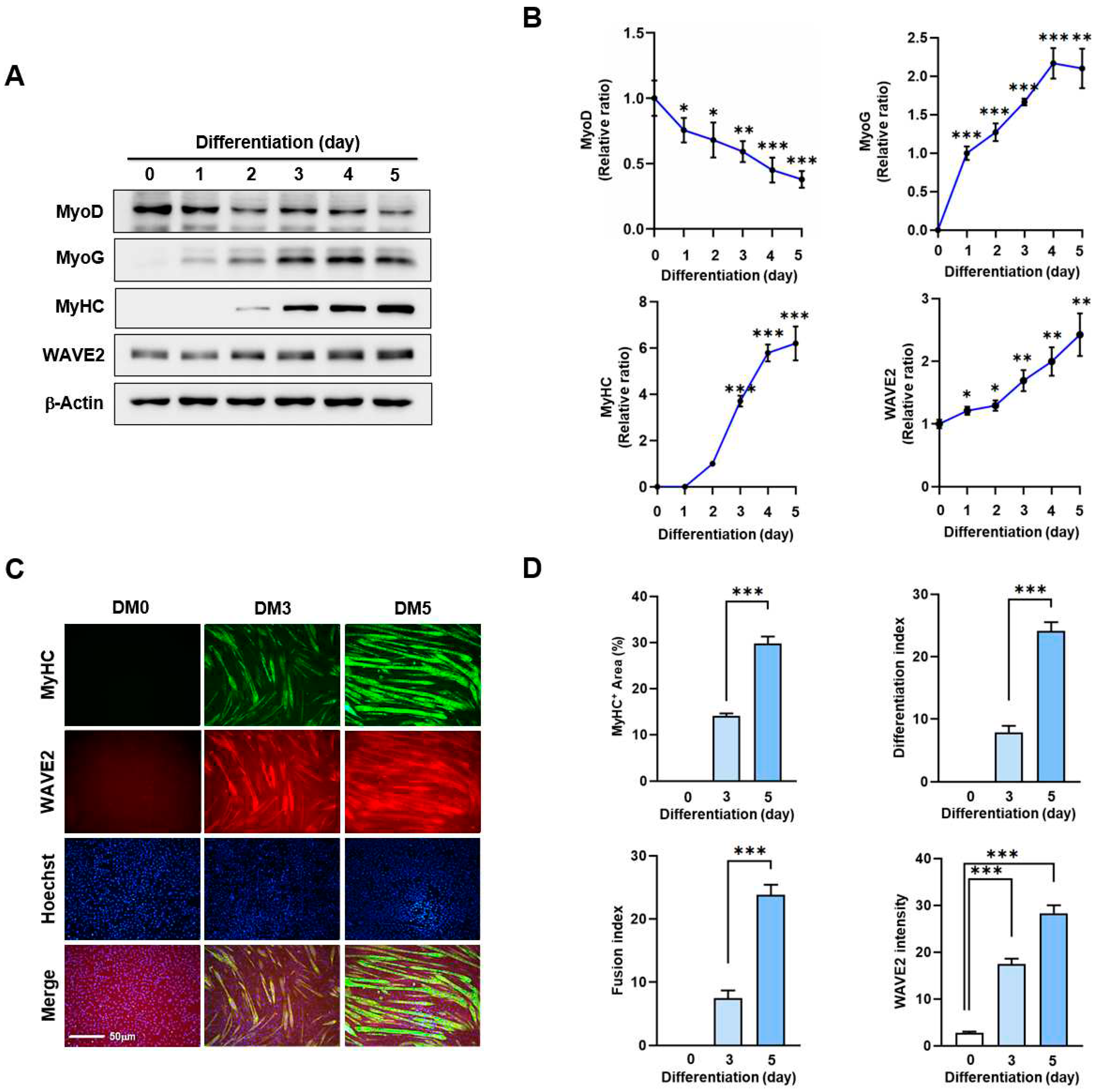 Preprints 93433 g001