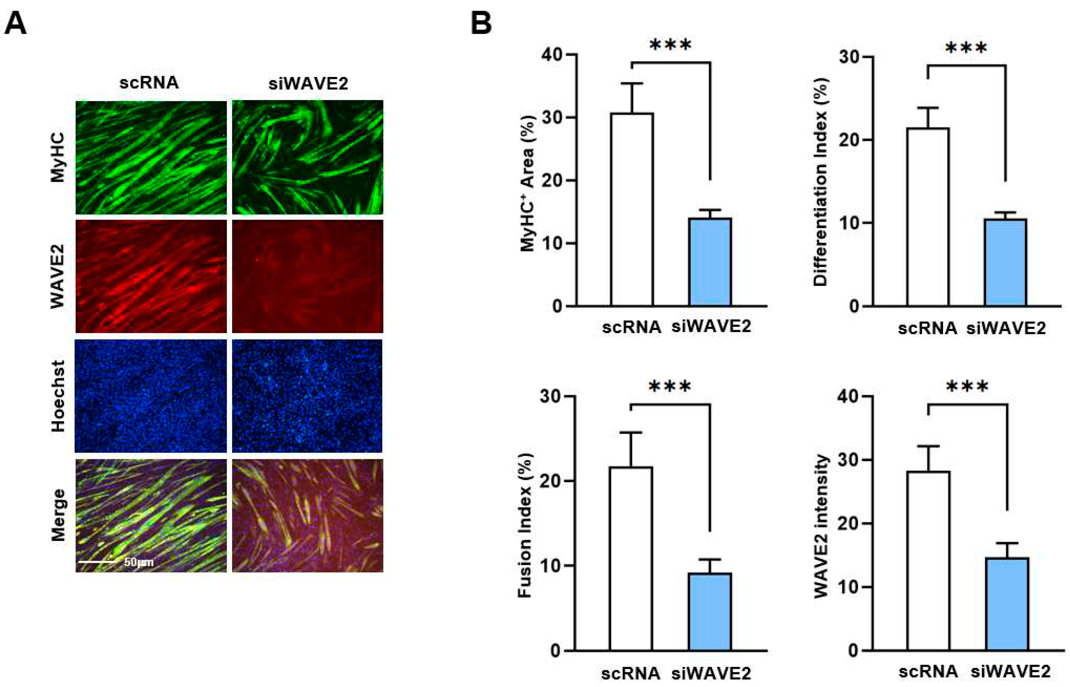 Preprints 93433 g003