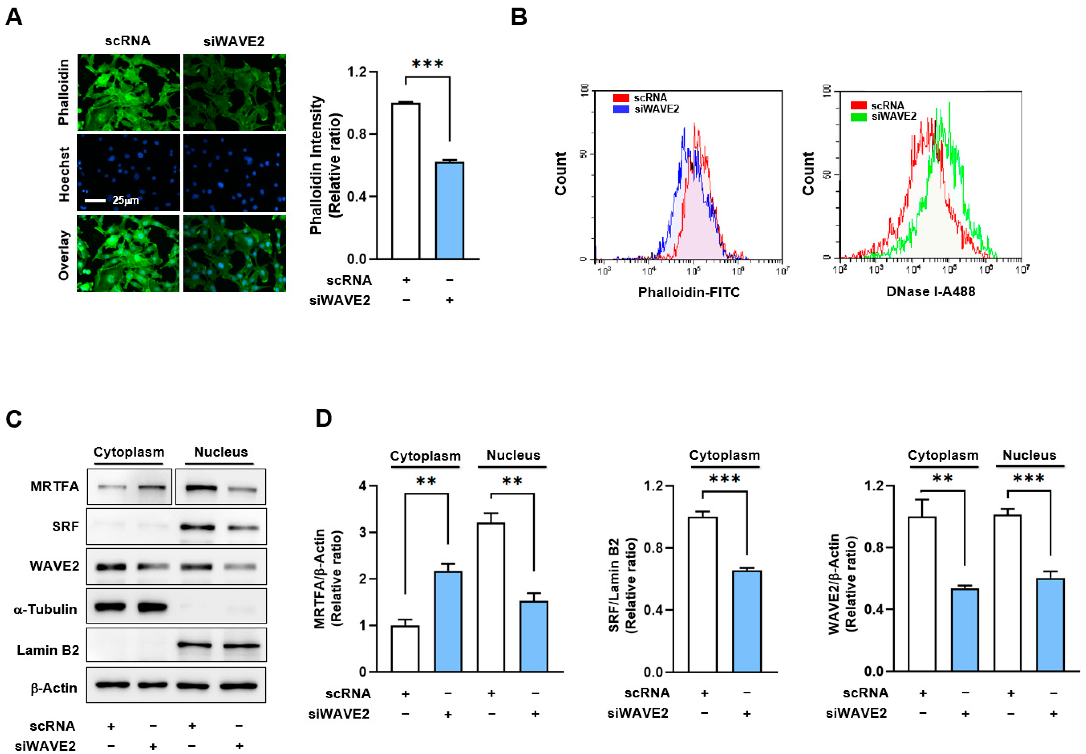 Preprints 93433 g004