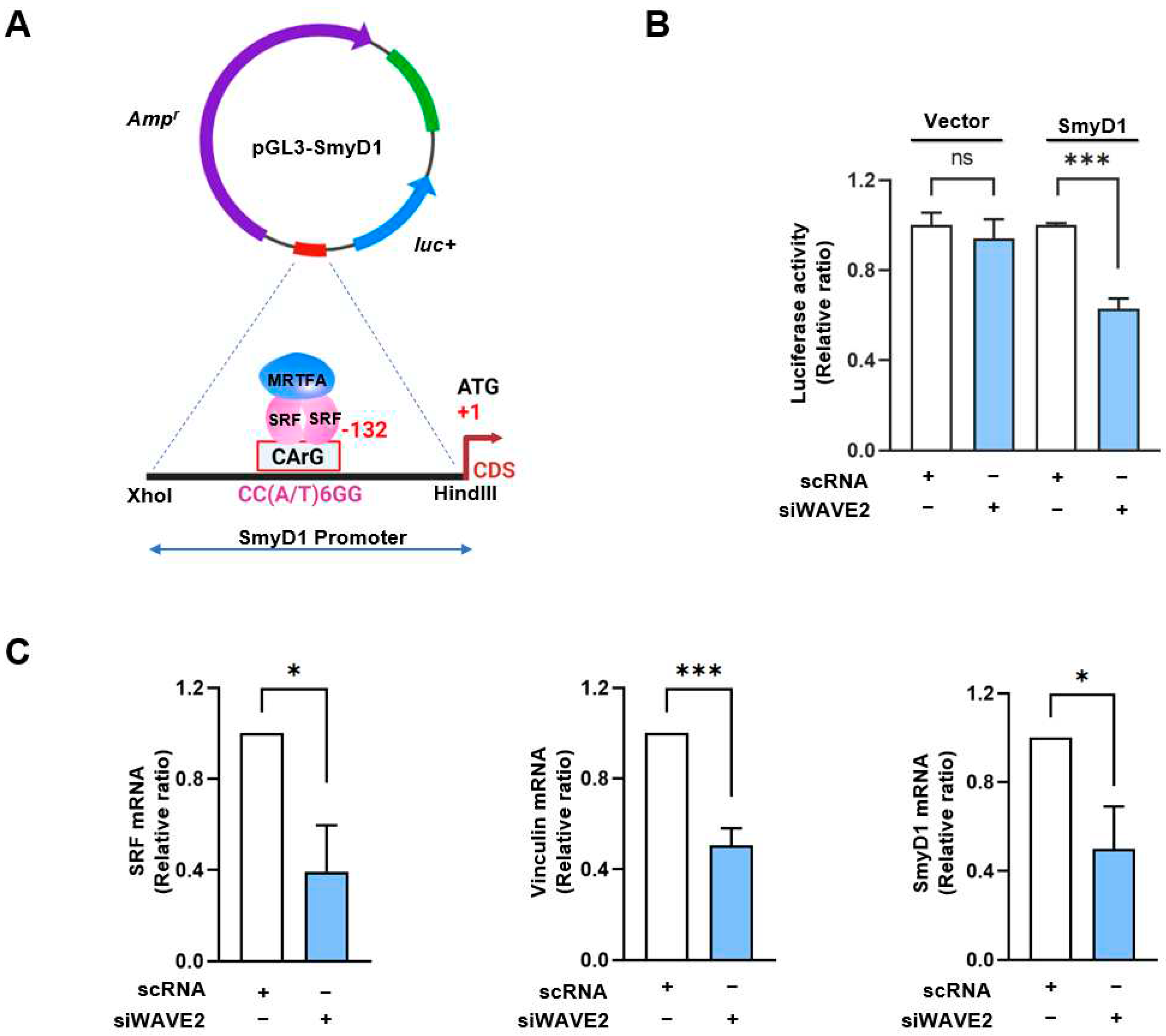 Preprints 93433 g005