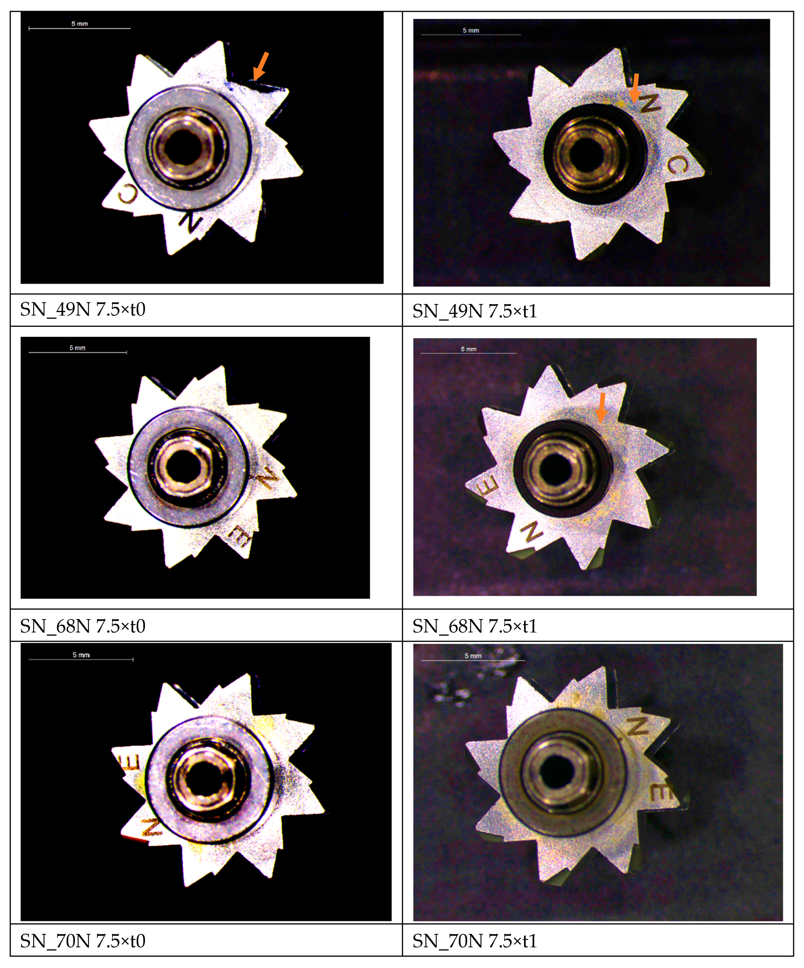 Preprints 207396 g002