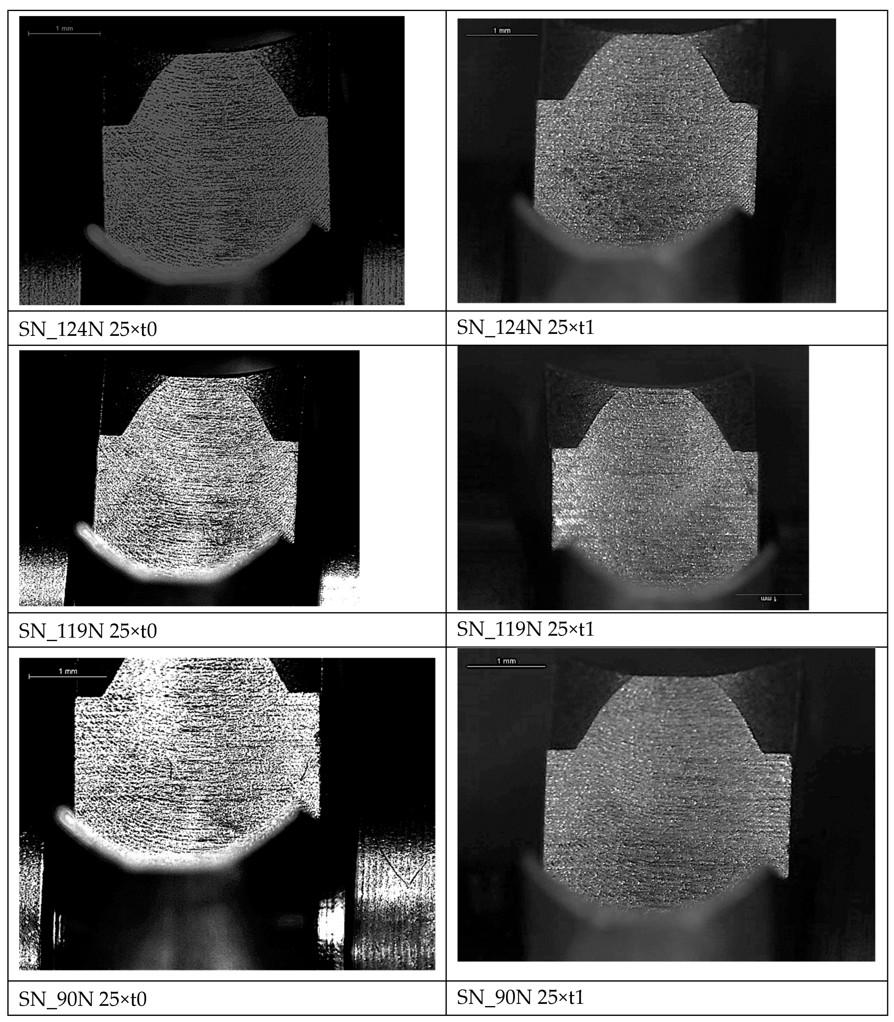 Preprints 207396 g003
