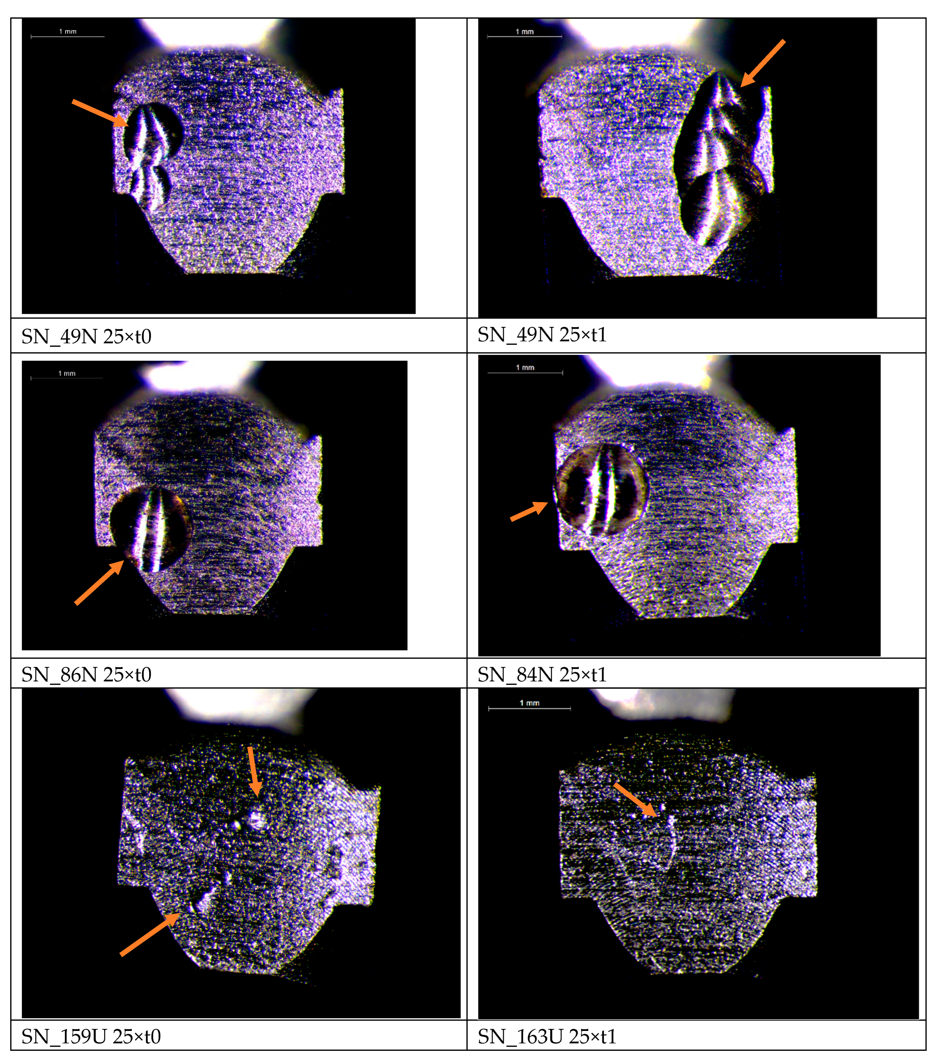 Preprints 207396 g004