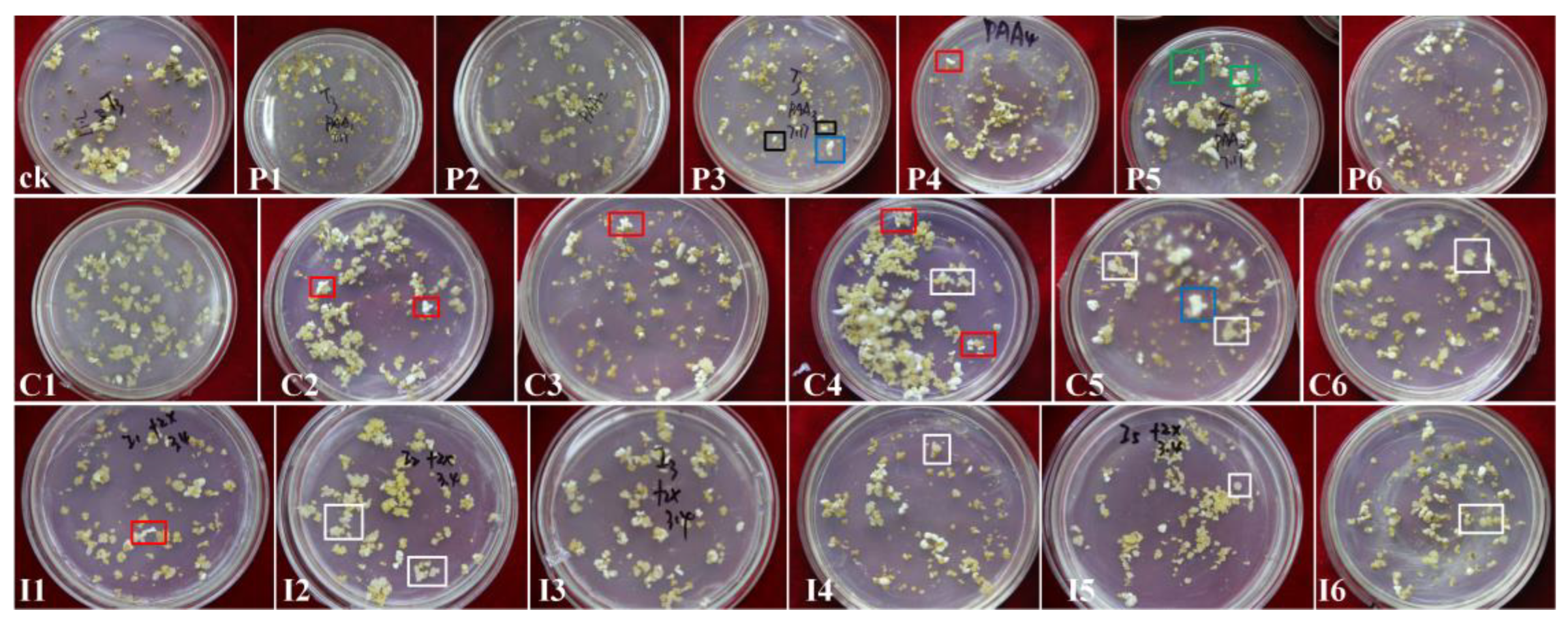 Preprints 175101 g003