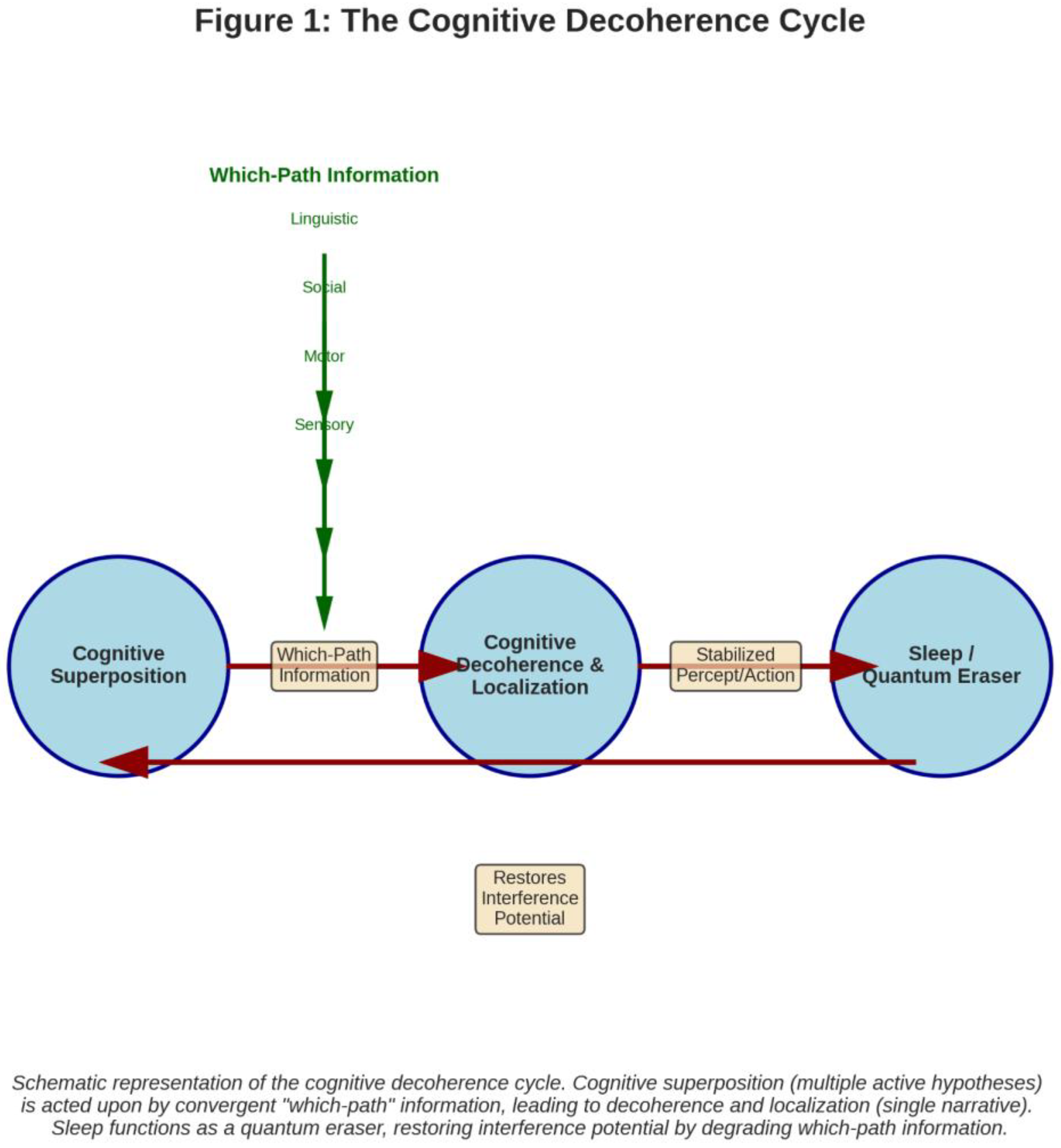 Preprints 194063 g001