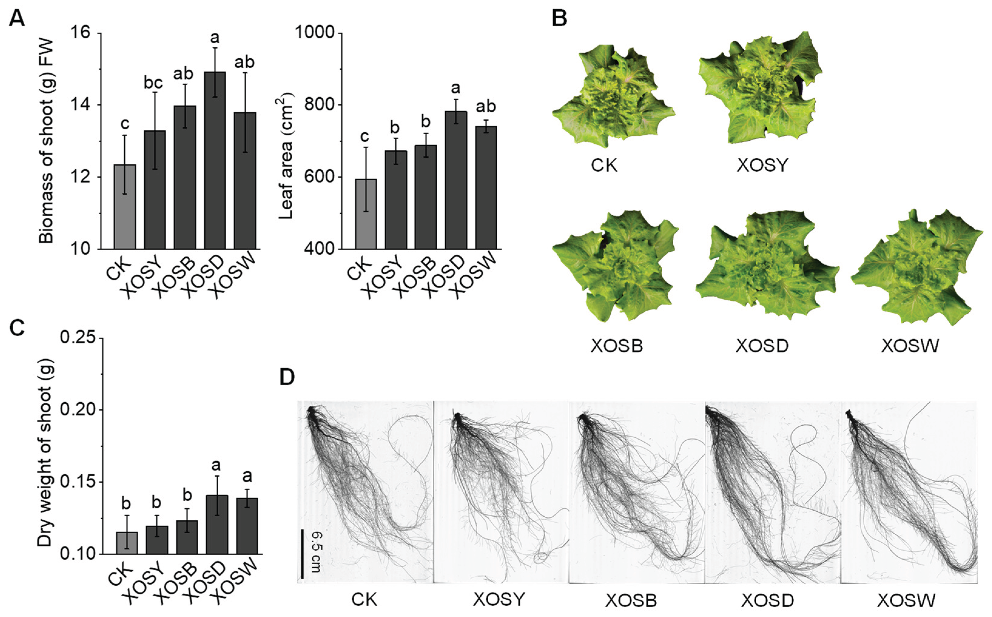 Preprints 167783 g001