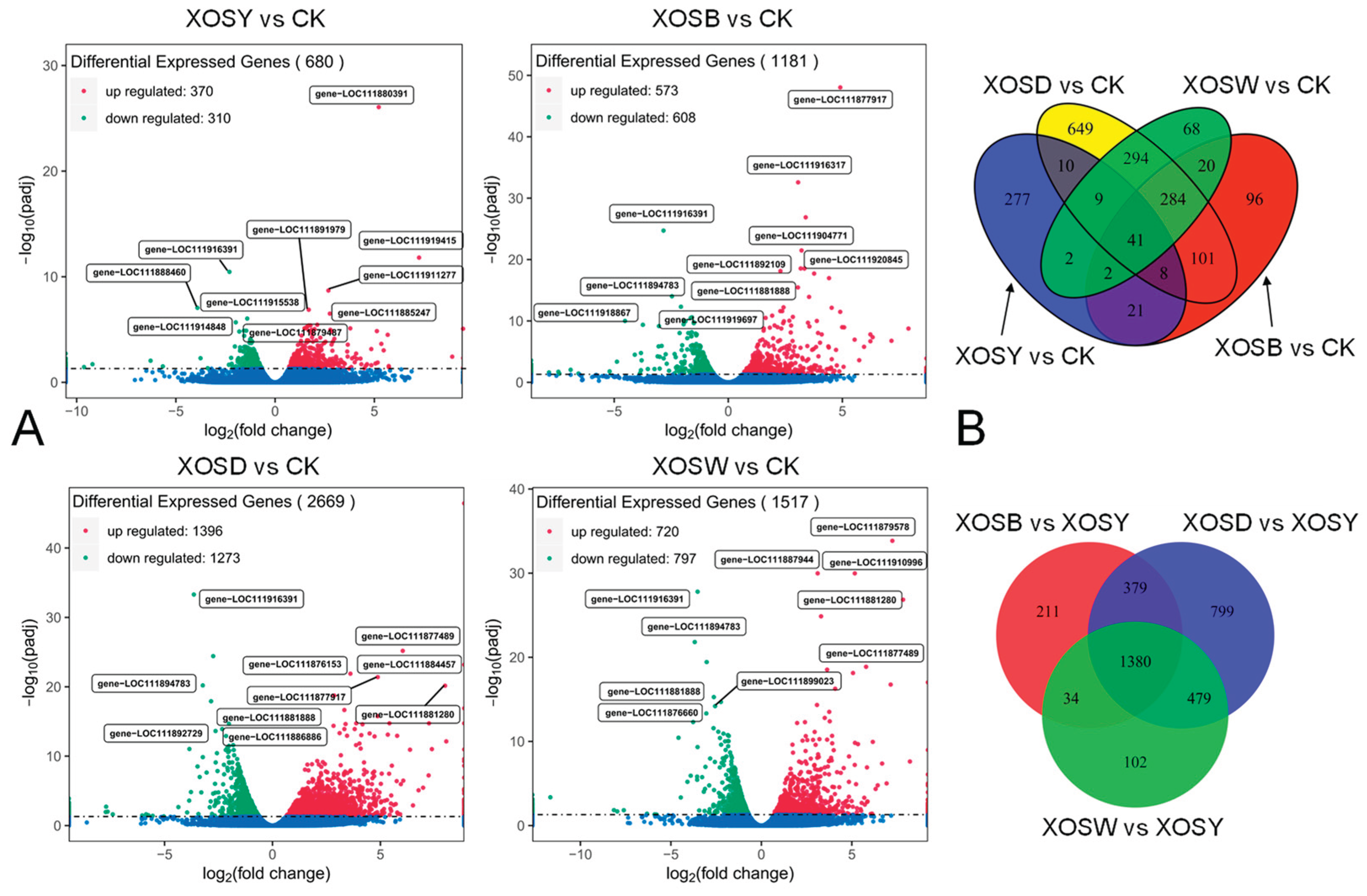 Preprints 167783 g002