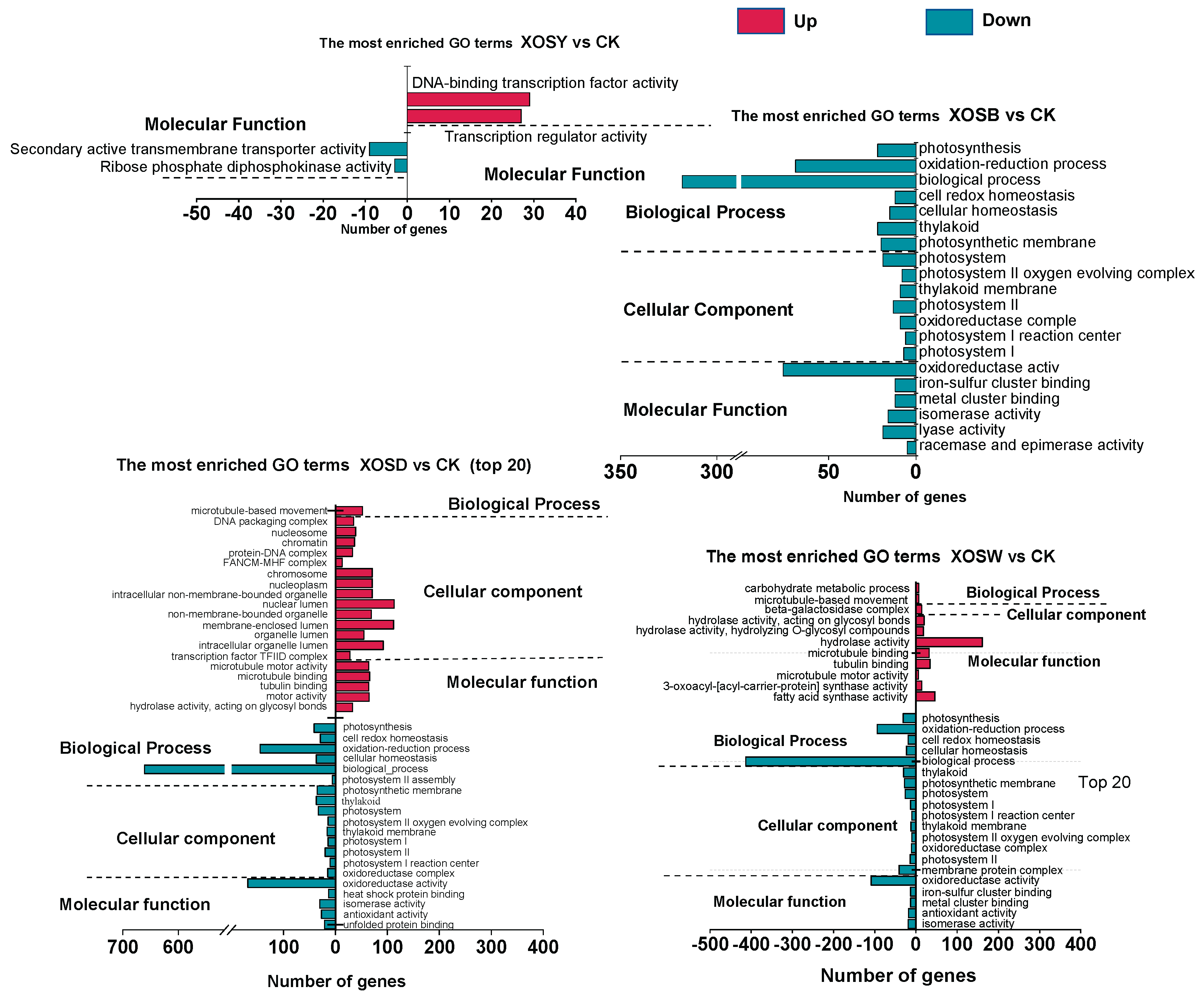 Preprints 167783 g003
