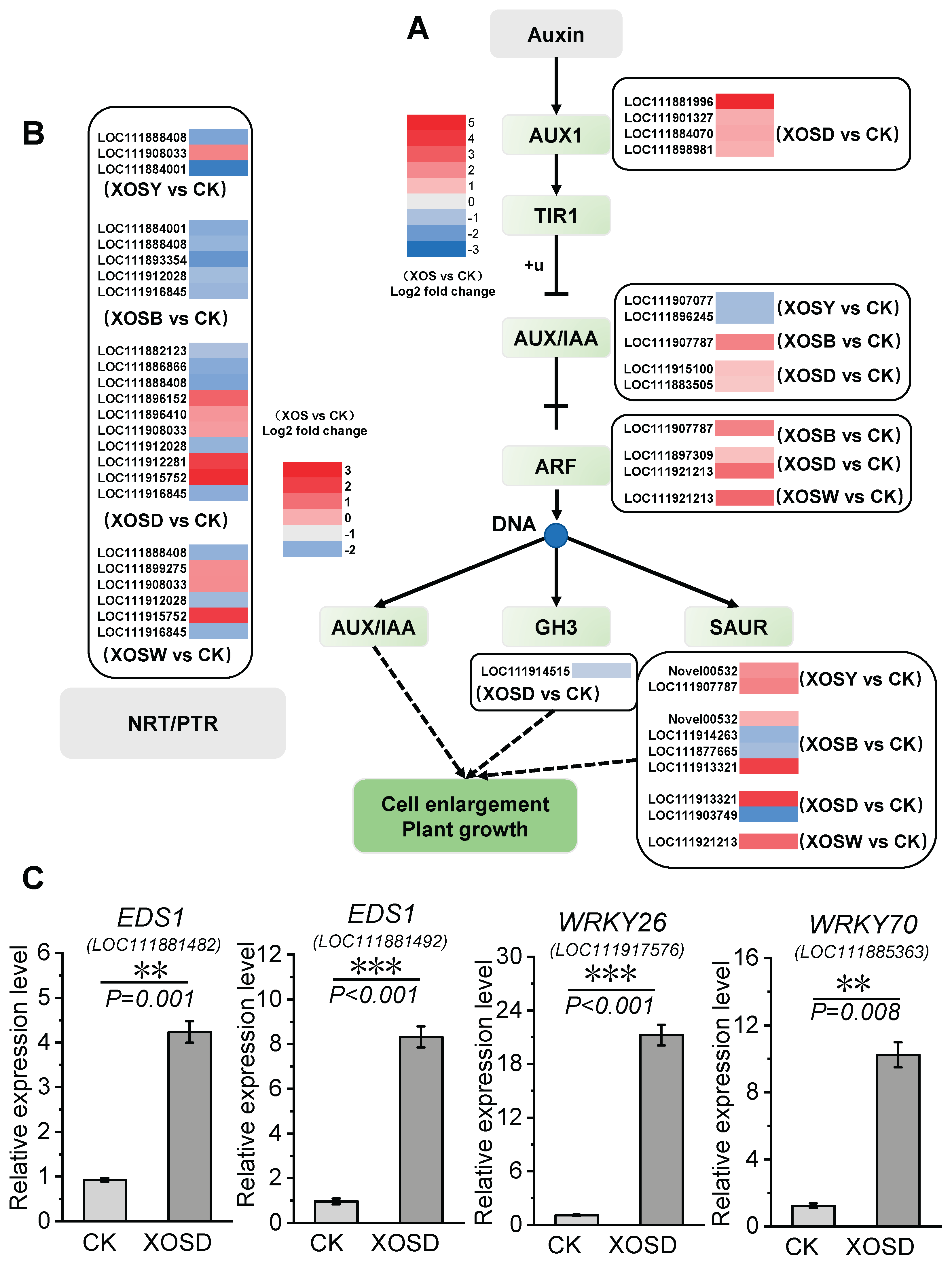Preprints 167783 g006