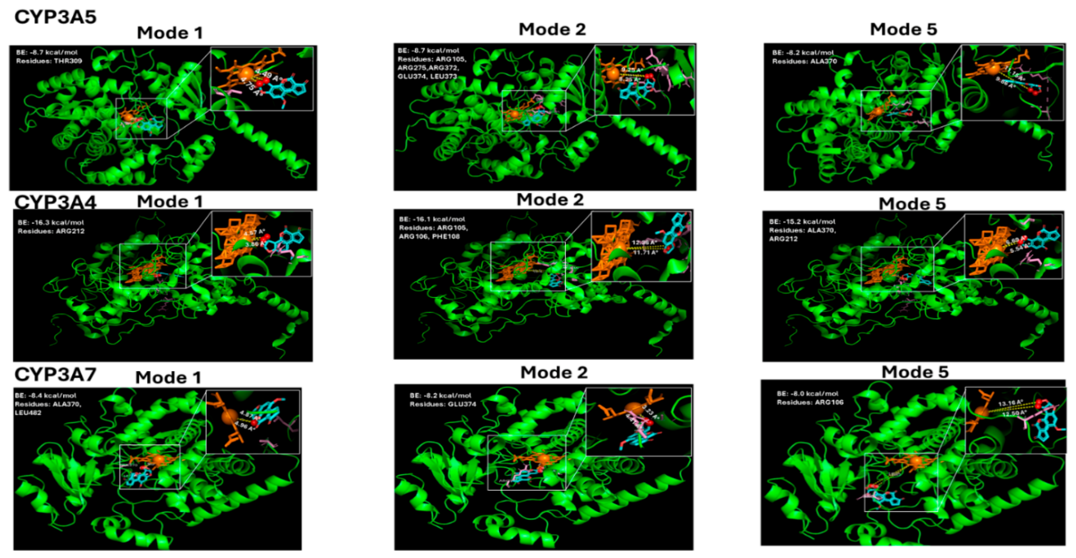 Preprints 218184 g004 Preprints 218184 g004