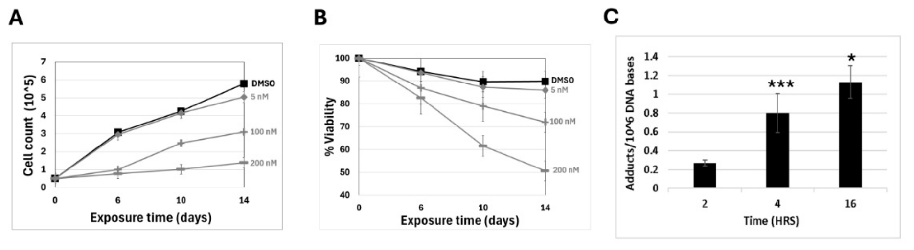 Preprints 218184 g006 Preprints 218184 g006