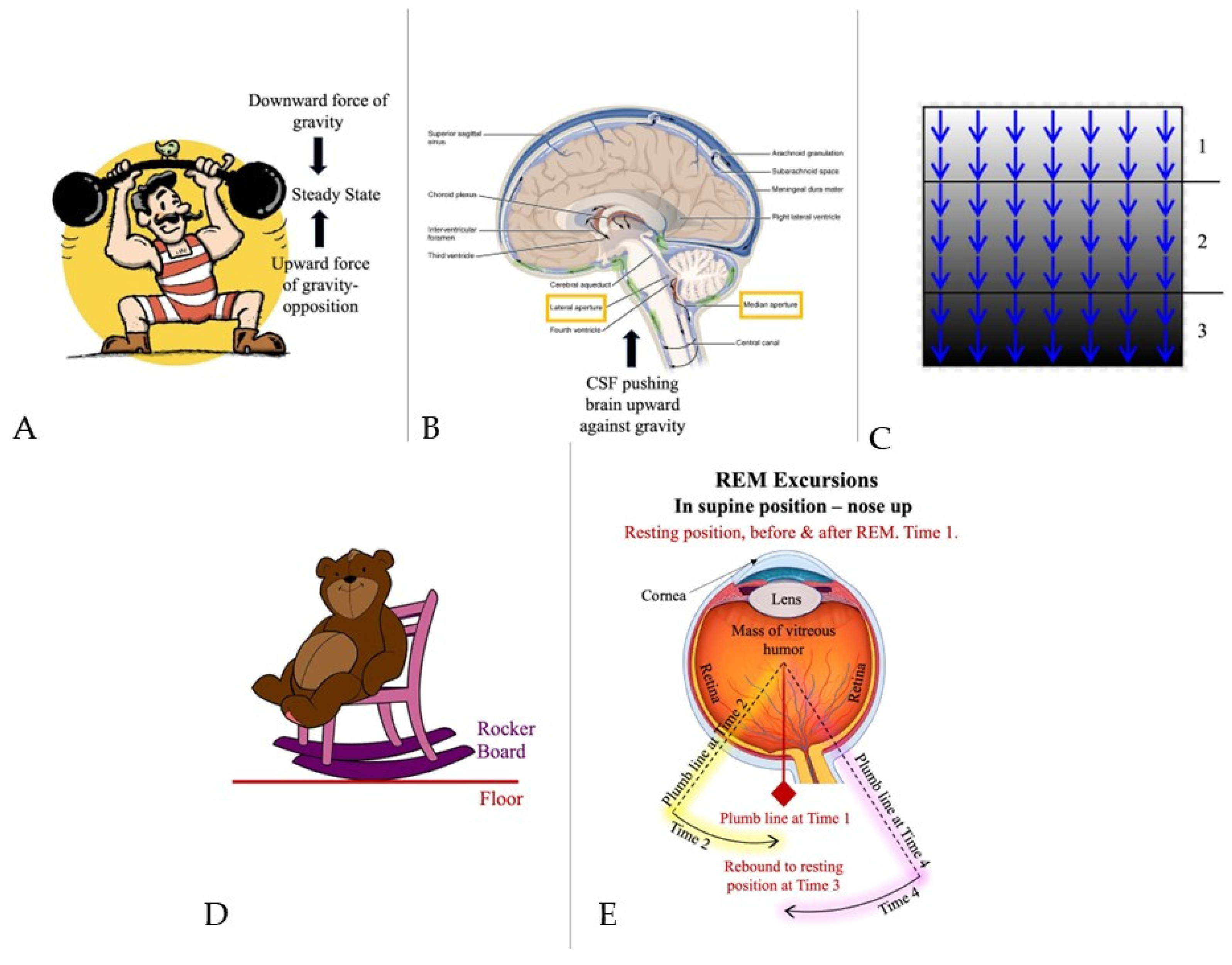 Preprints 182720 g002