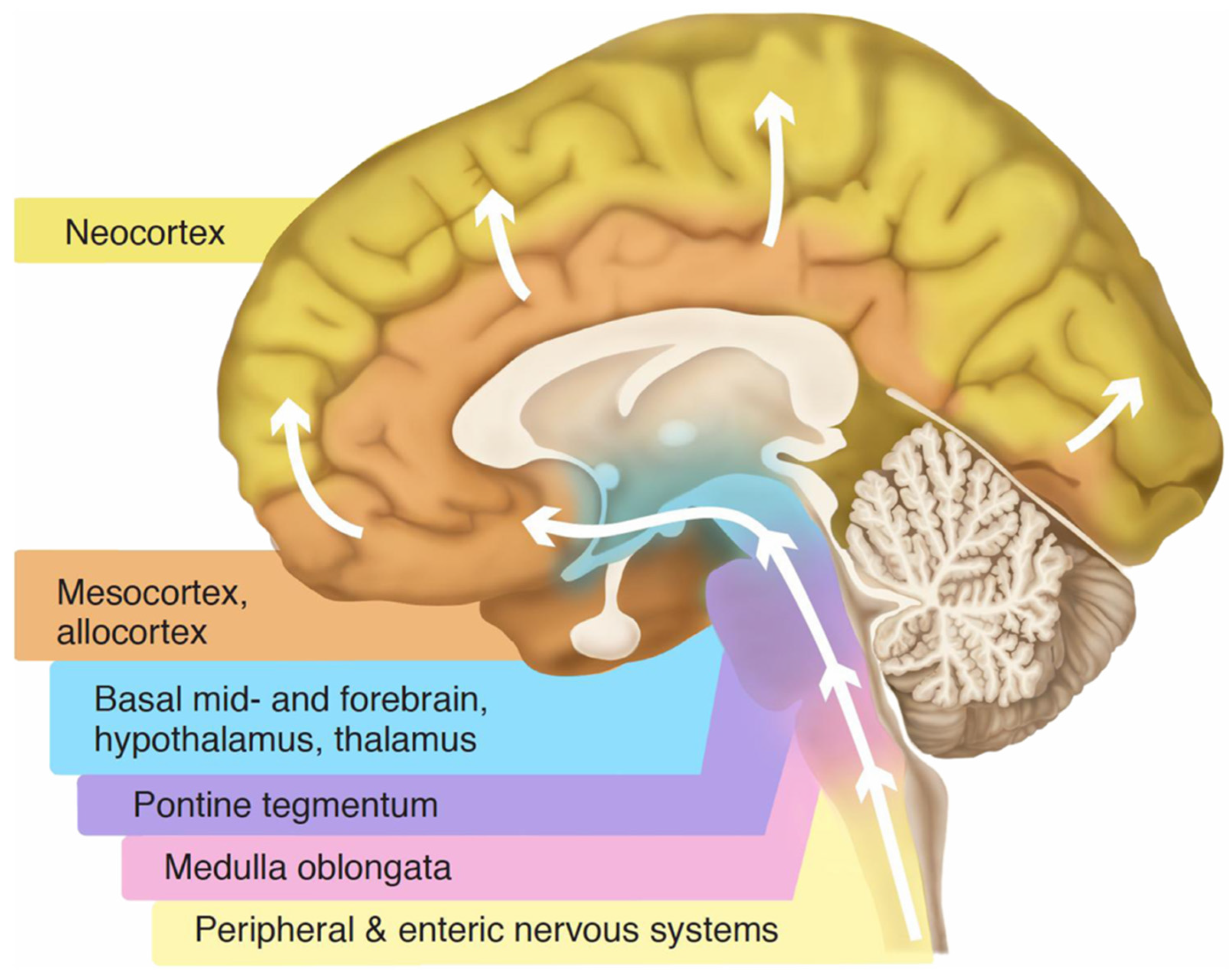 Preprints 182720 g004