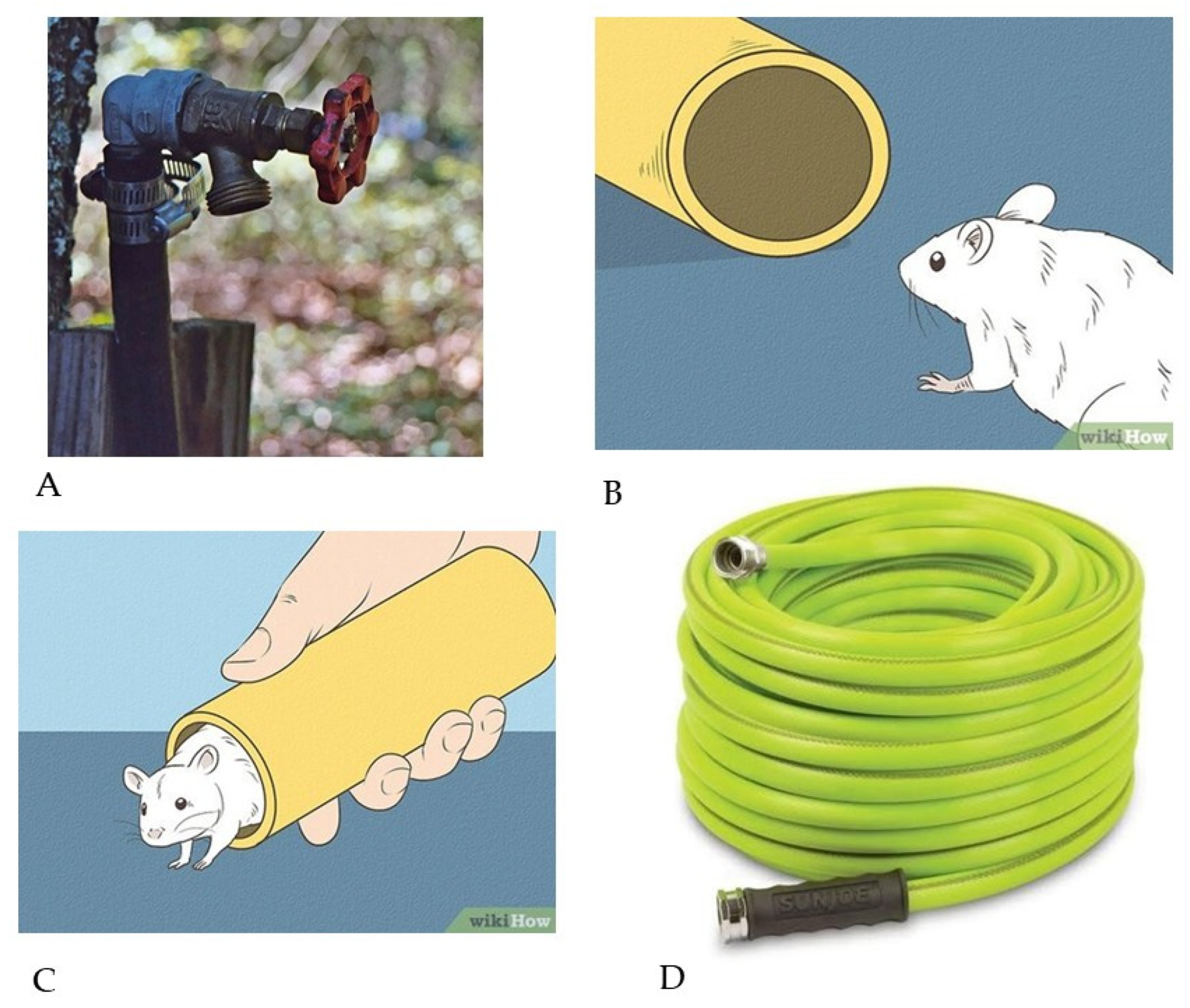 Preprints 182720 g005