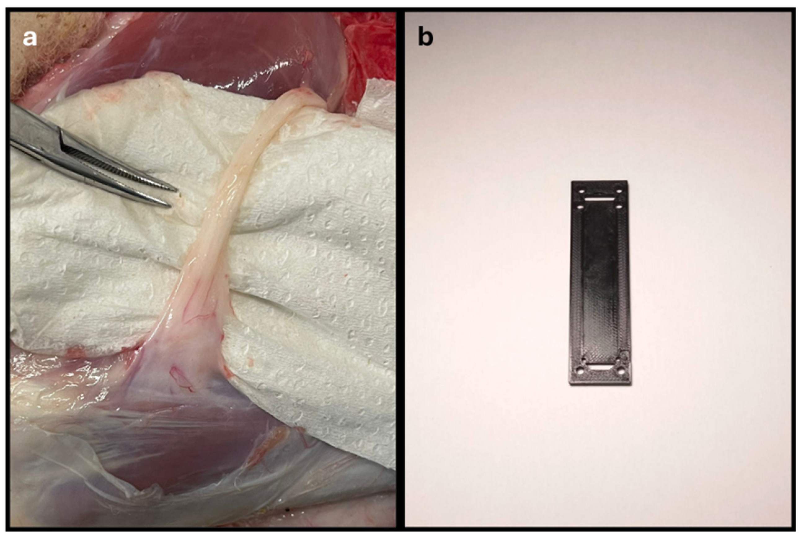 Preprints 146379 g001