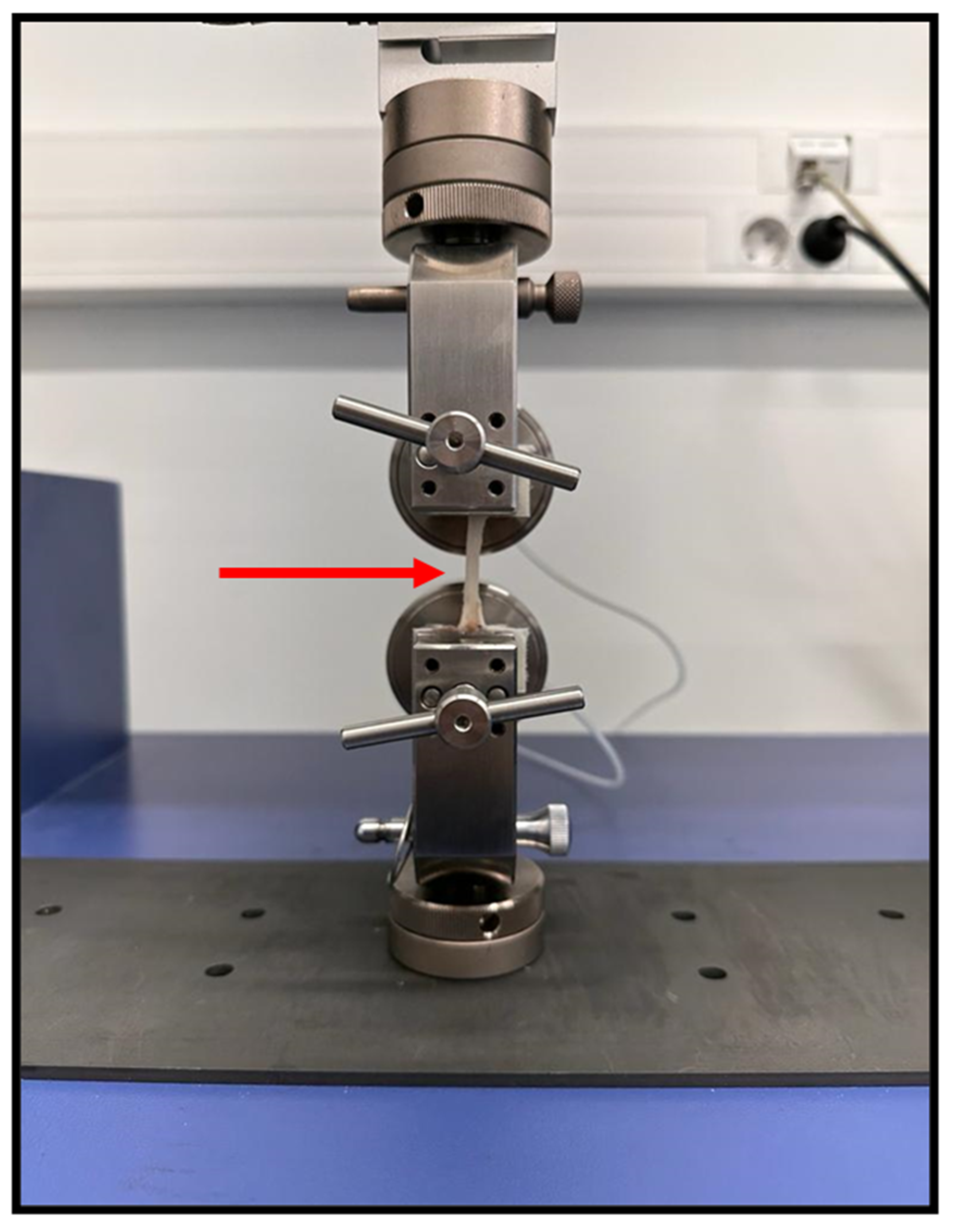 Preprints 146379 g003