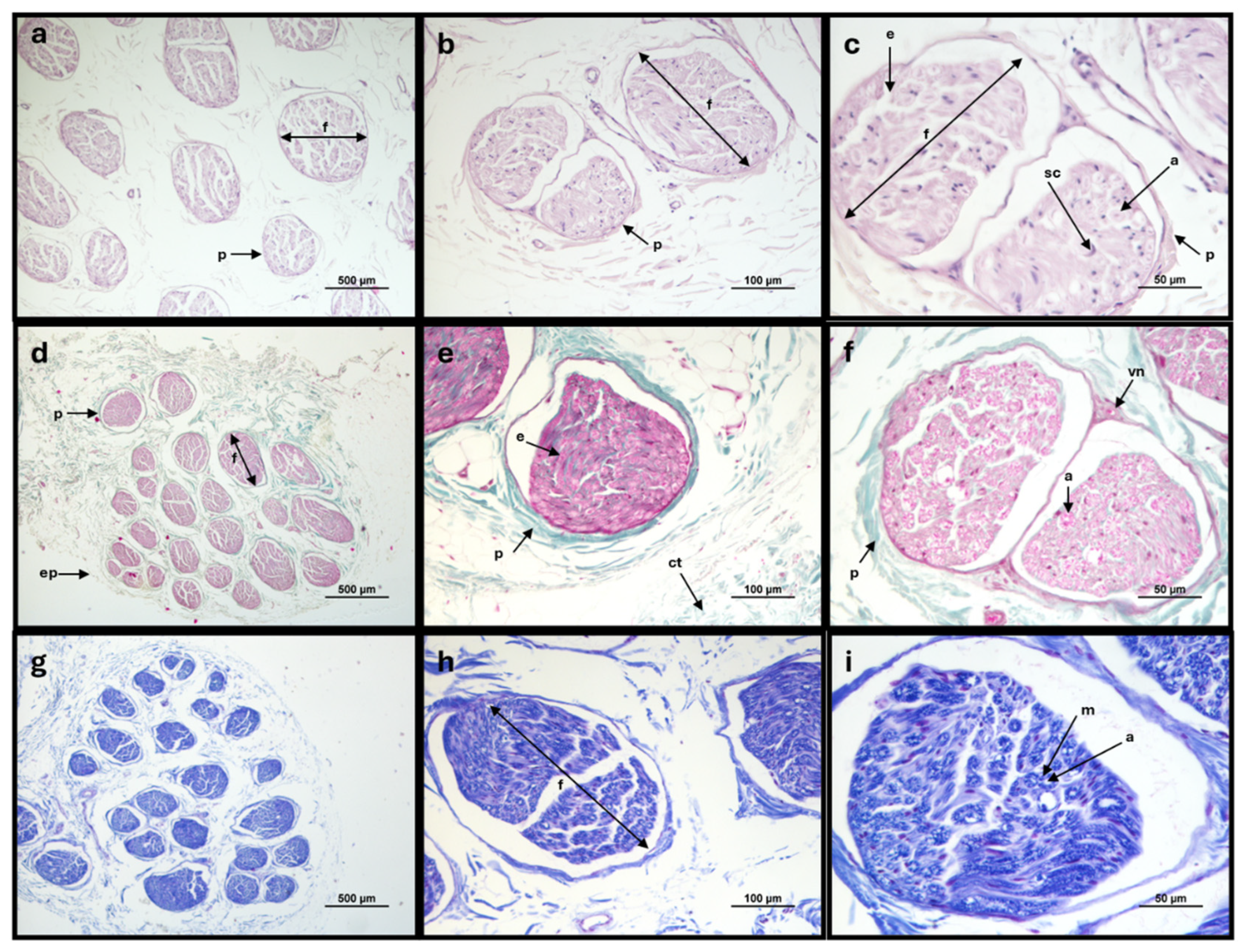 Preprints 146379 g004