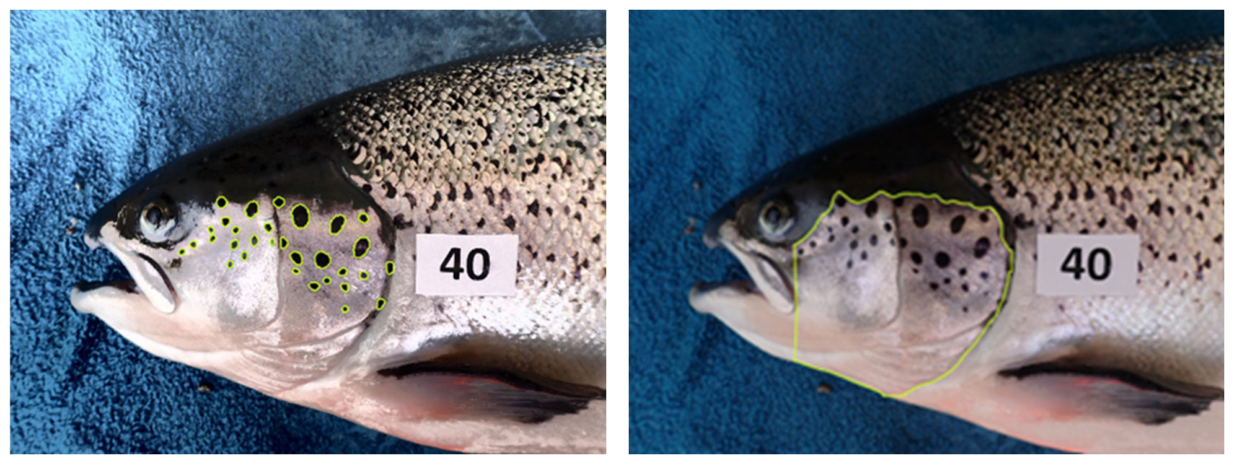 Preprints 207479 g003