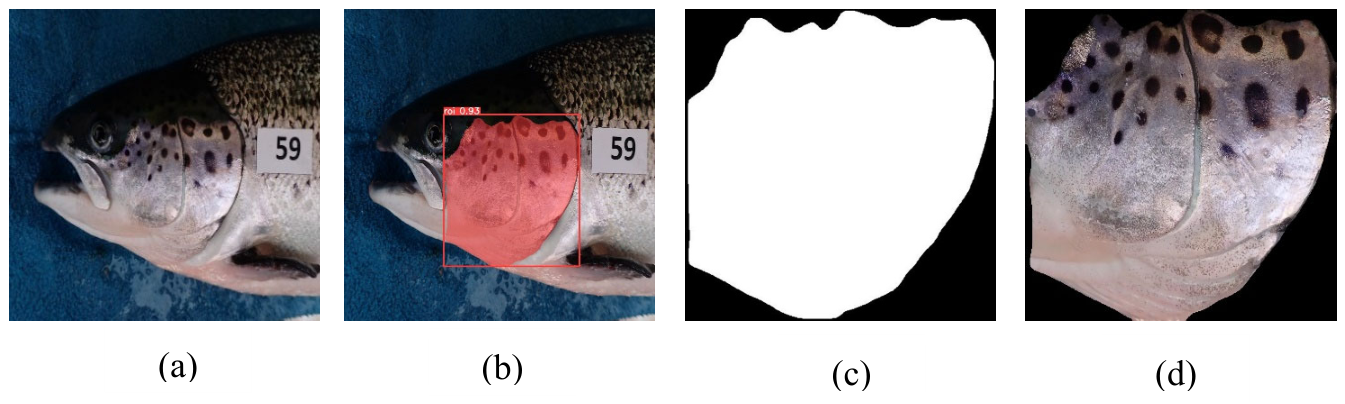 Preprints 207479 g007