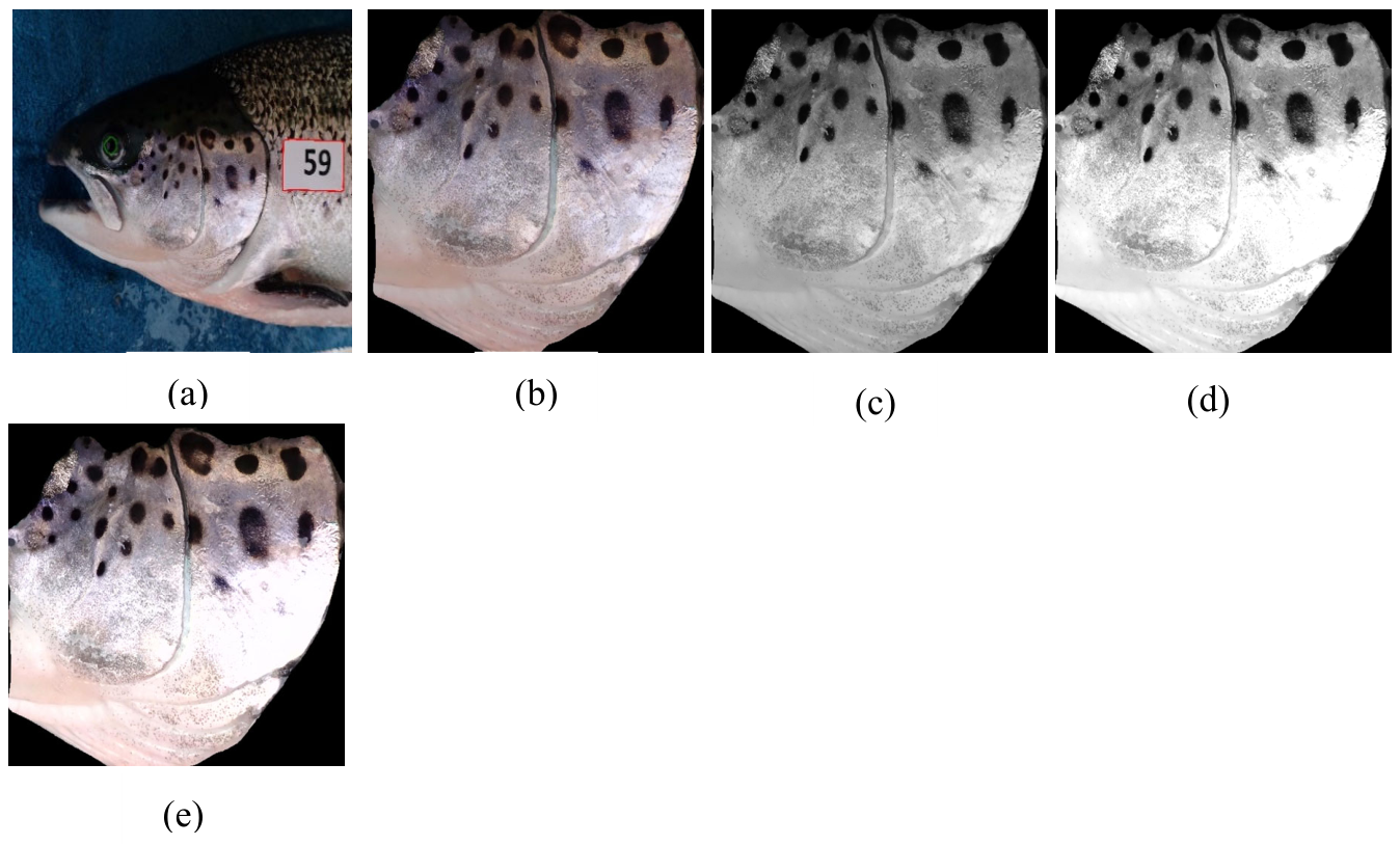 Preprints 207479 g009