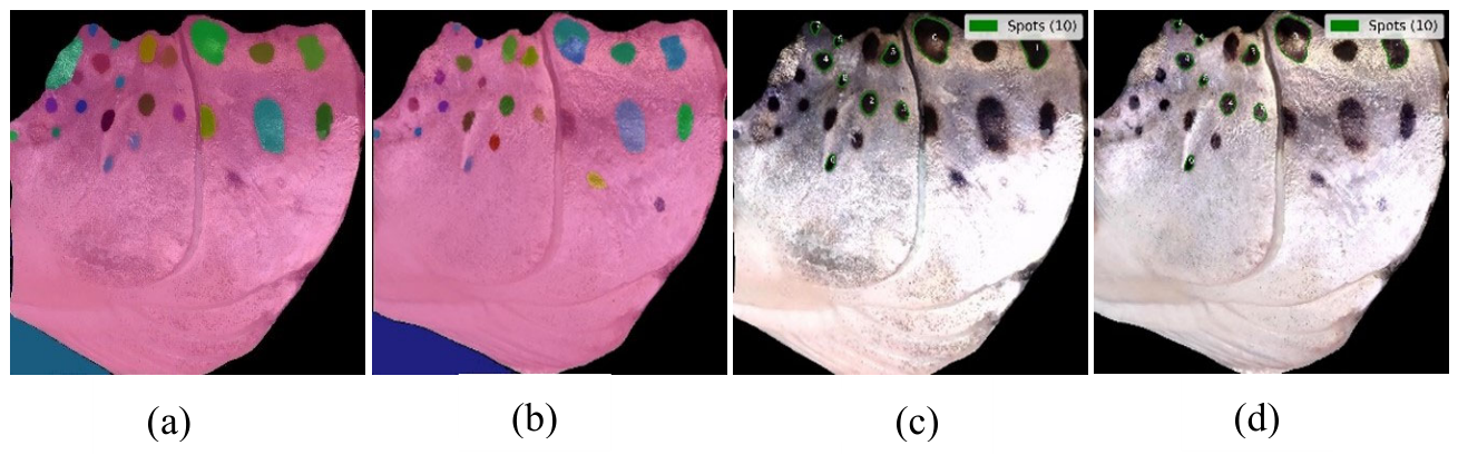 Preprints 207479 g011