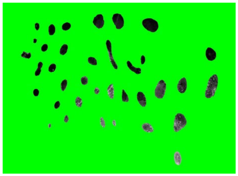 Preprints 207479 g016