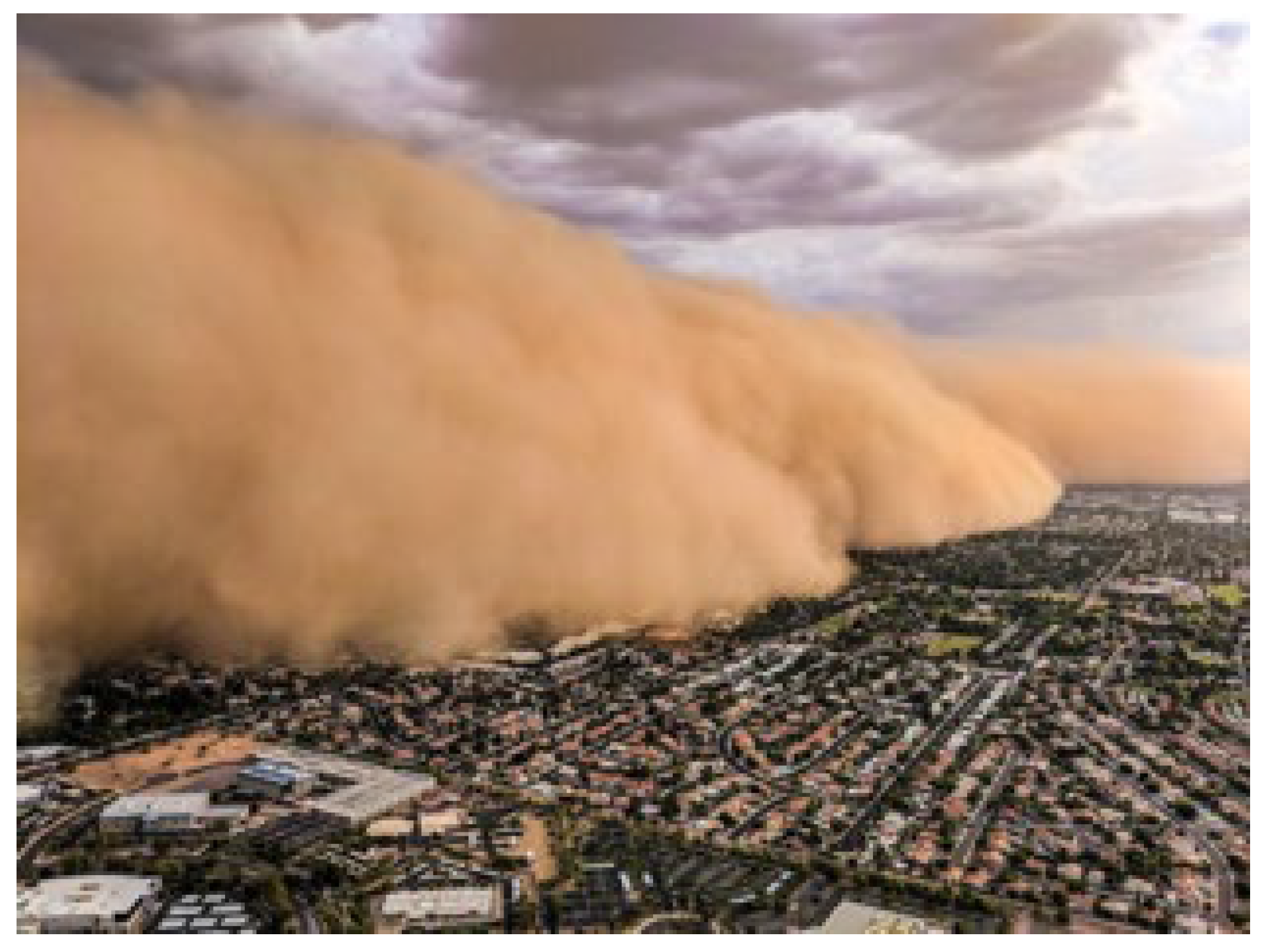 Preprints 146600 g013