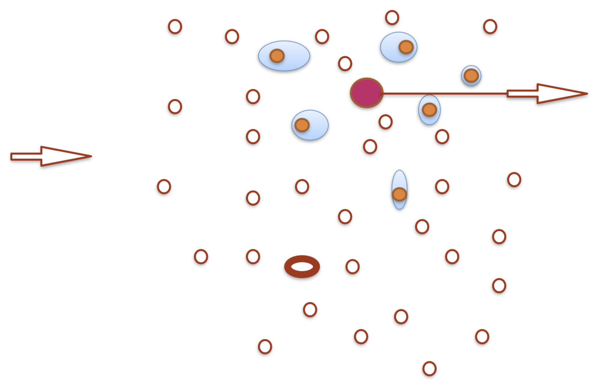 Preprints 197737 g001