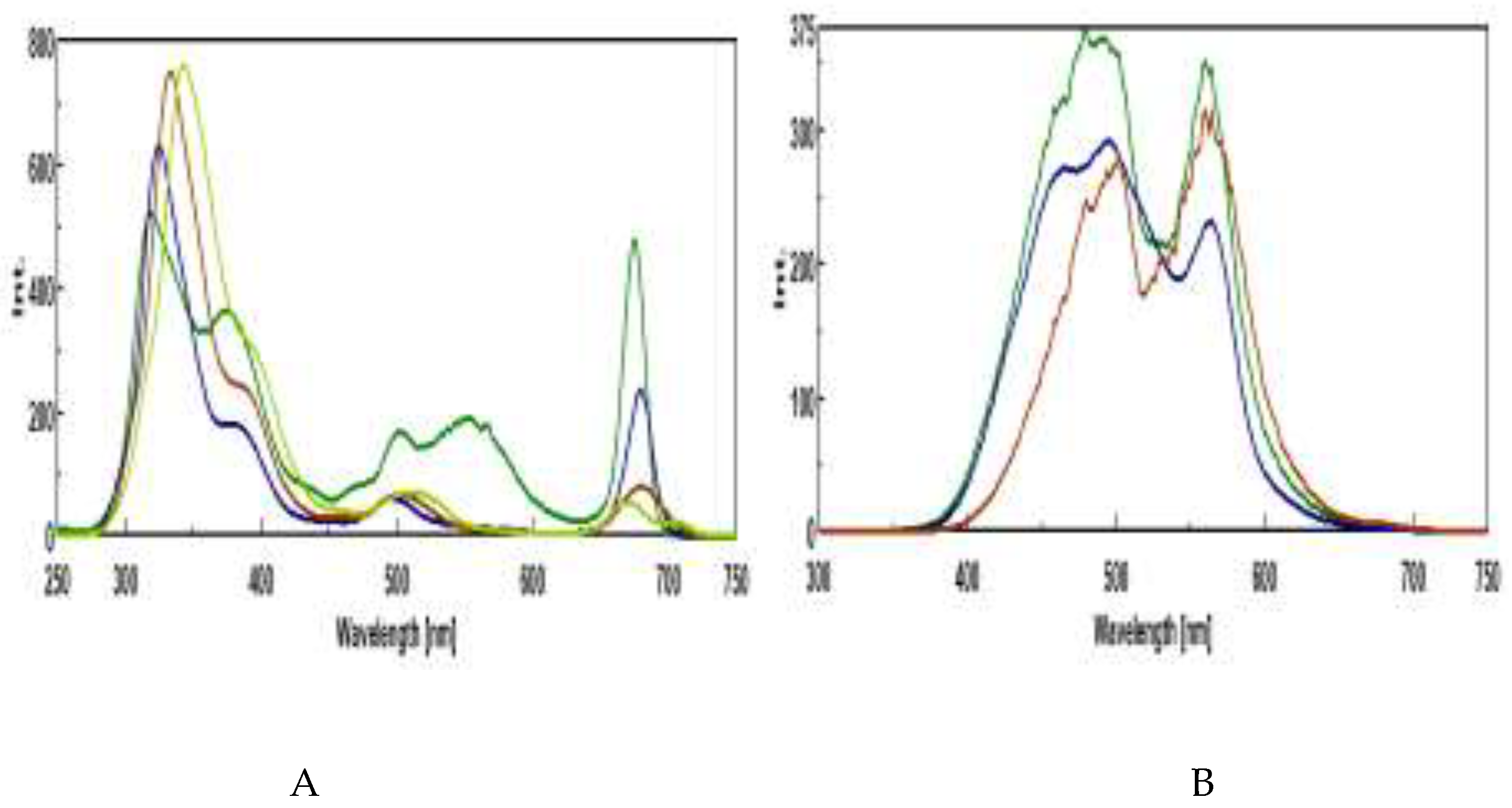 Preprints 208369 g006
